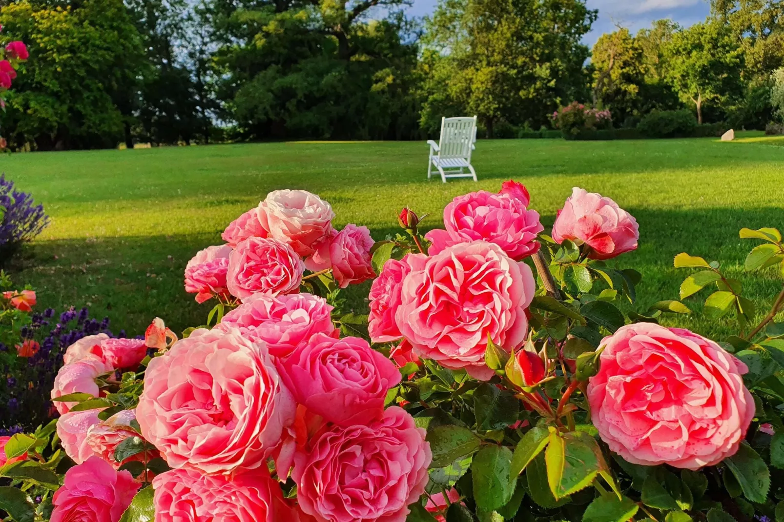 Beletage bei Gerdshagen-Gardens summer