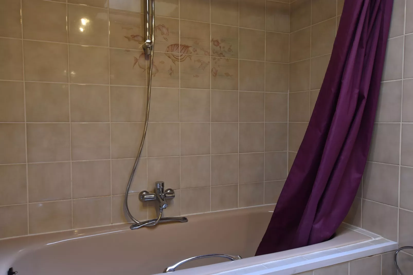 Valkenhorst-Bathroom