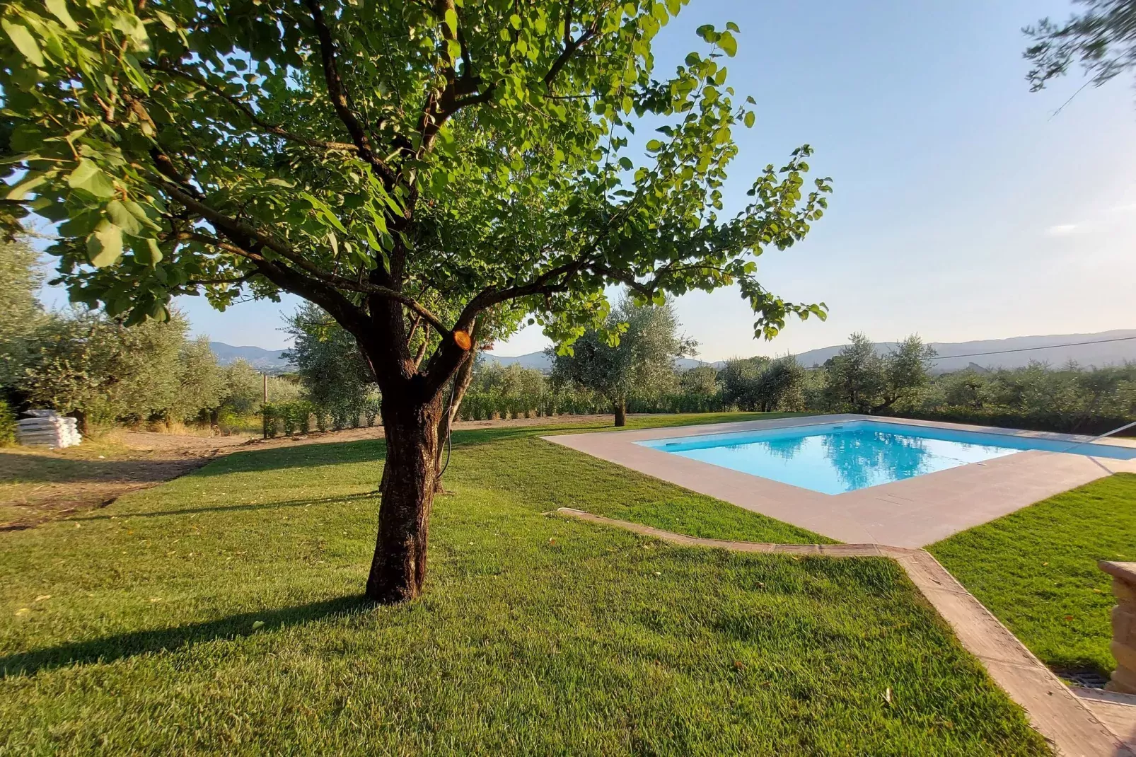 Villa dei Tarocchi-Pool