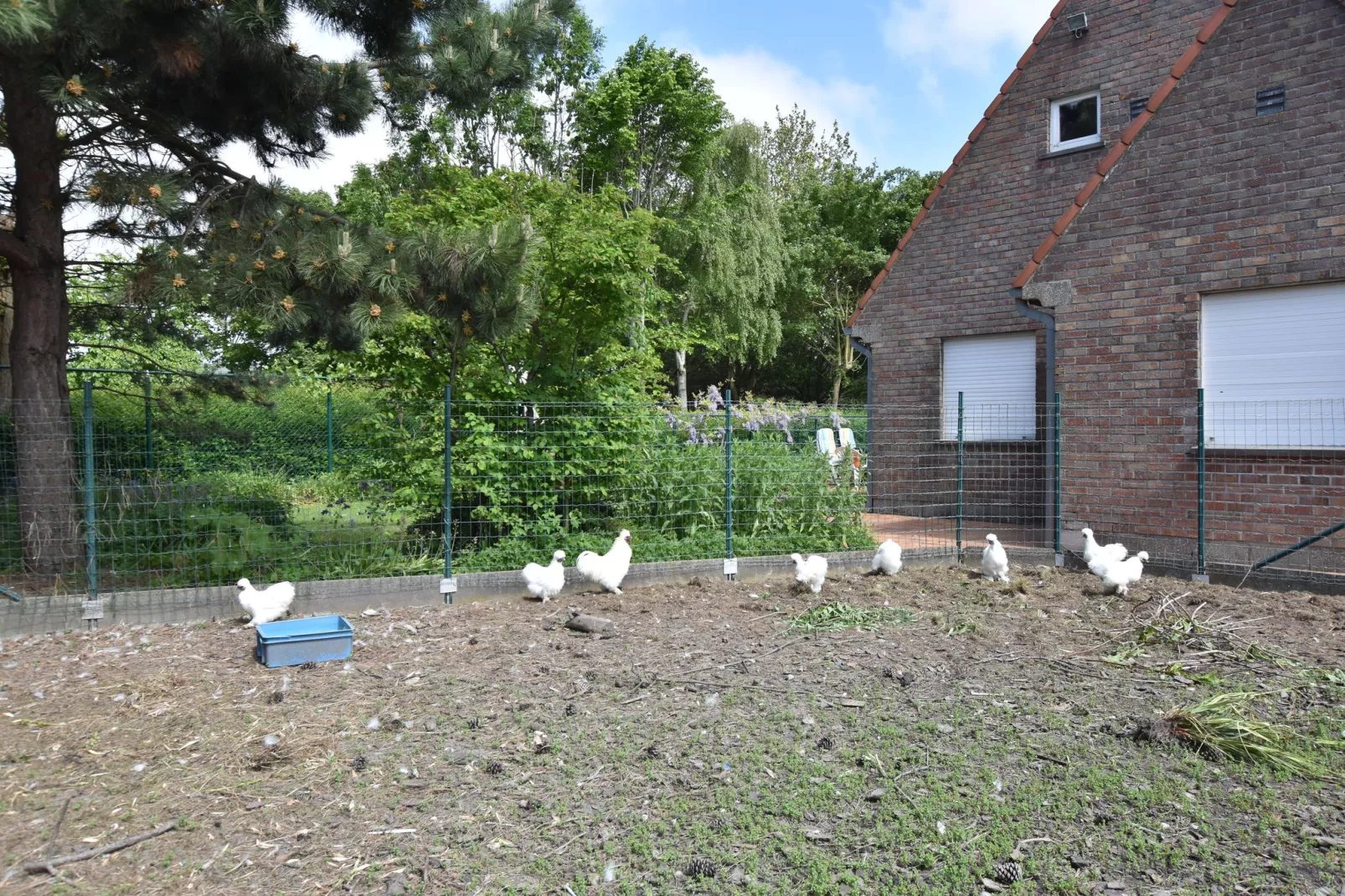 Valkenhorst-Gardens in summer