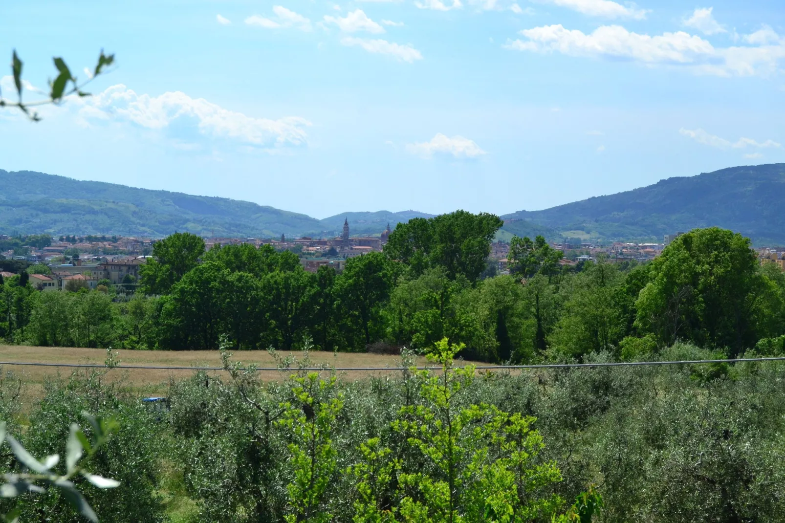 Villa dei Tarocchi-View summer