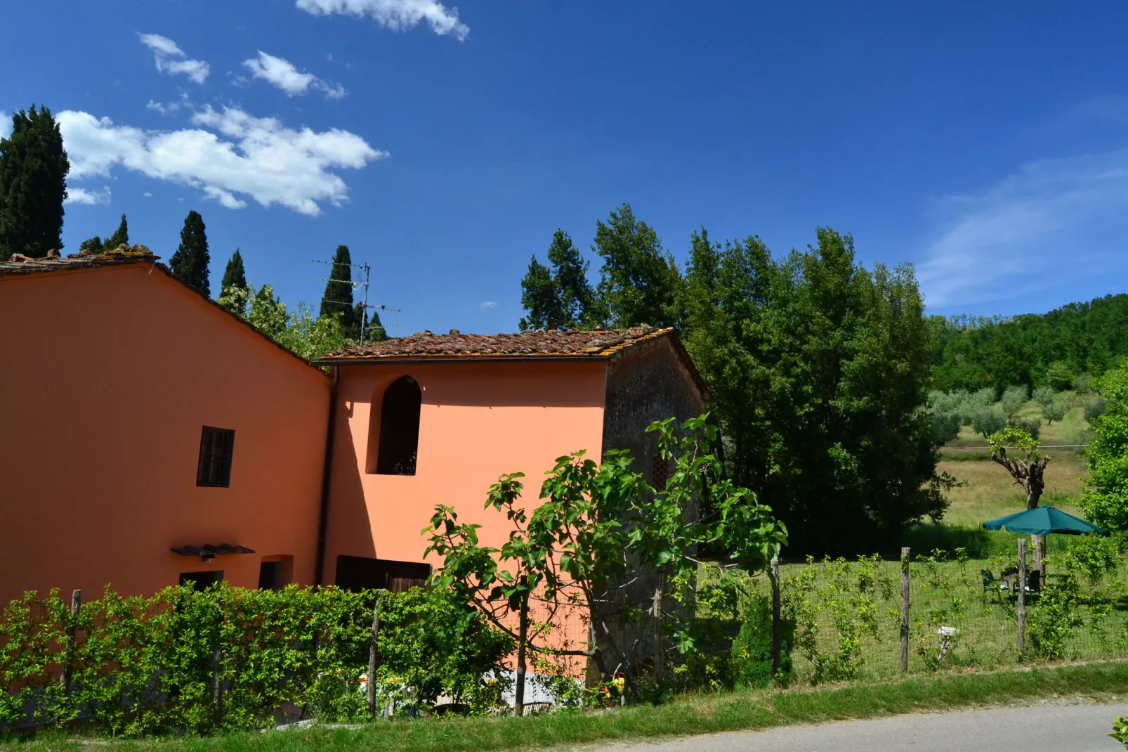 Villa dei Tarocchi-View summer
