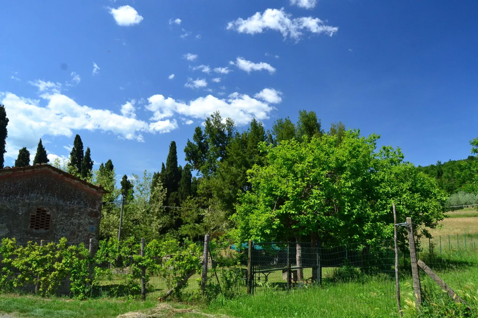 Villa dei Tarocchi-Areas summer 1km