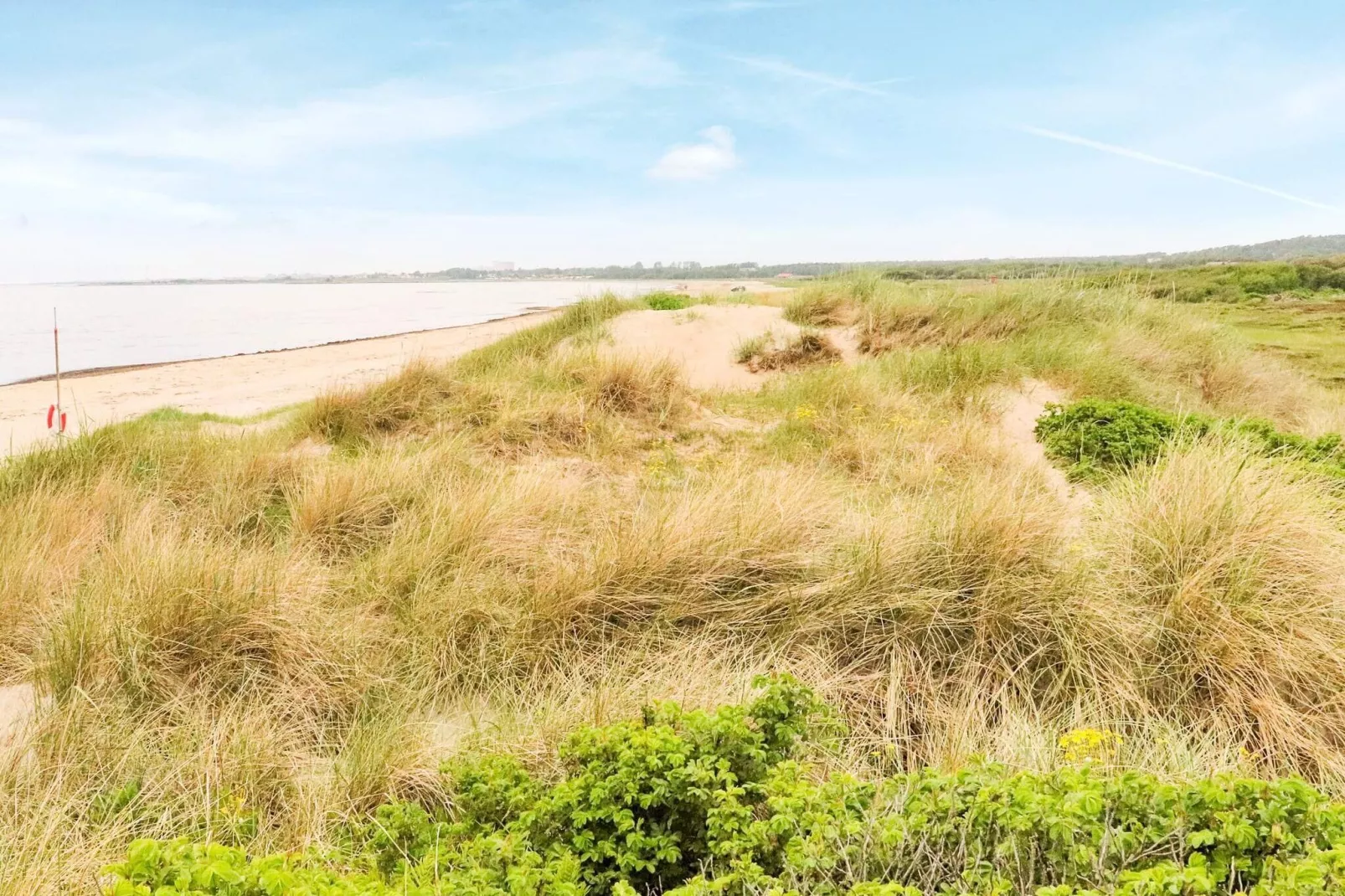 4 person holiday home in FALKENBERG-Not tagged