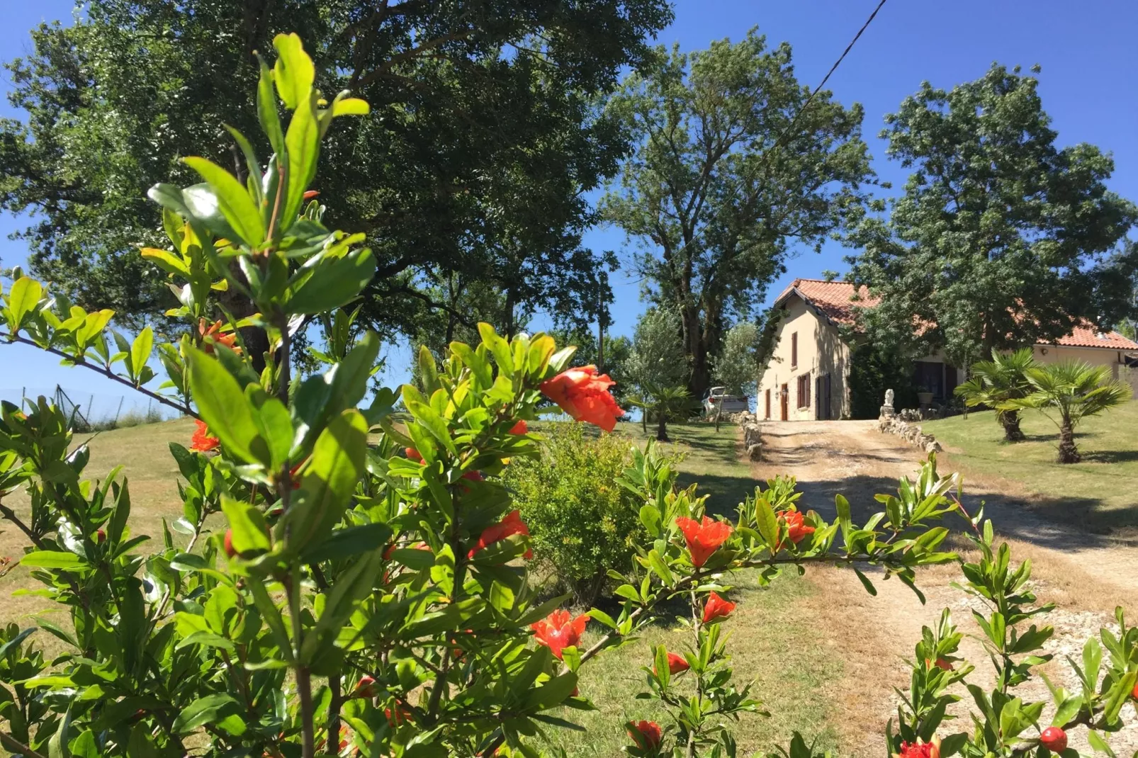 Maison Joie de Vivre-Gardens summer