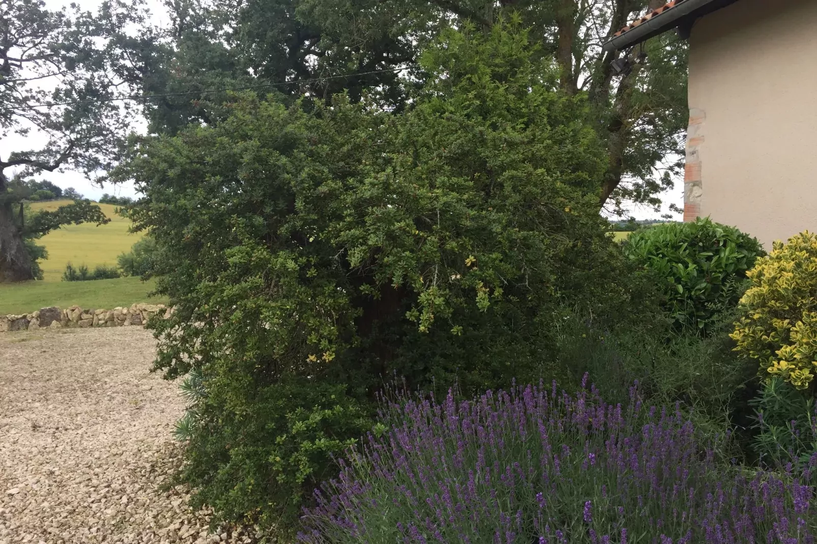 Maison Joie de Vivre-Gardens summer
