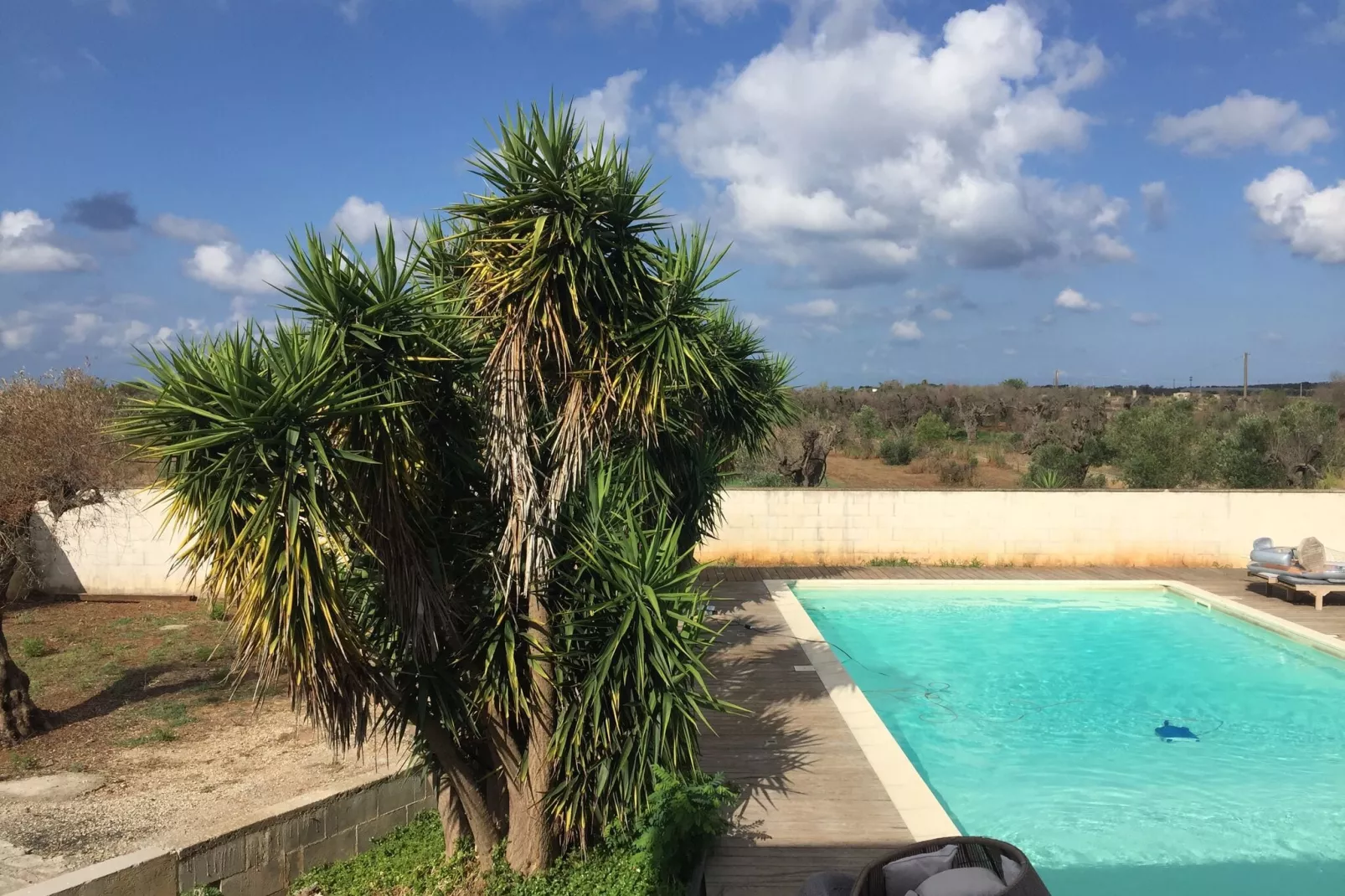 Pool Villa Torre San Giovanni-Gardens summer
