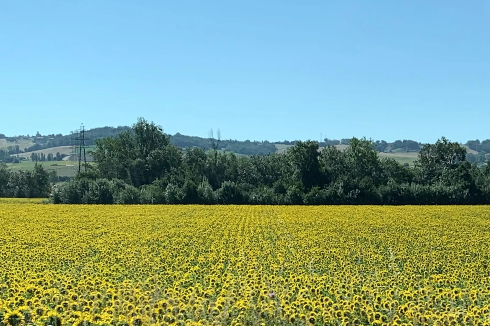 Maison Joie de Vivre-Areas summer 5km