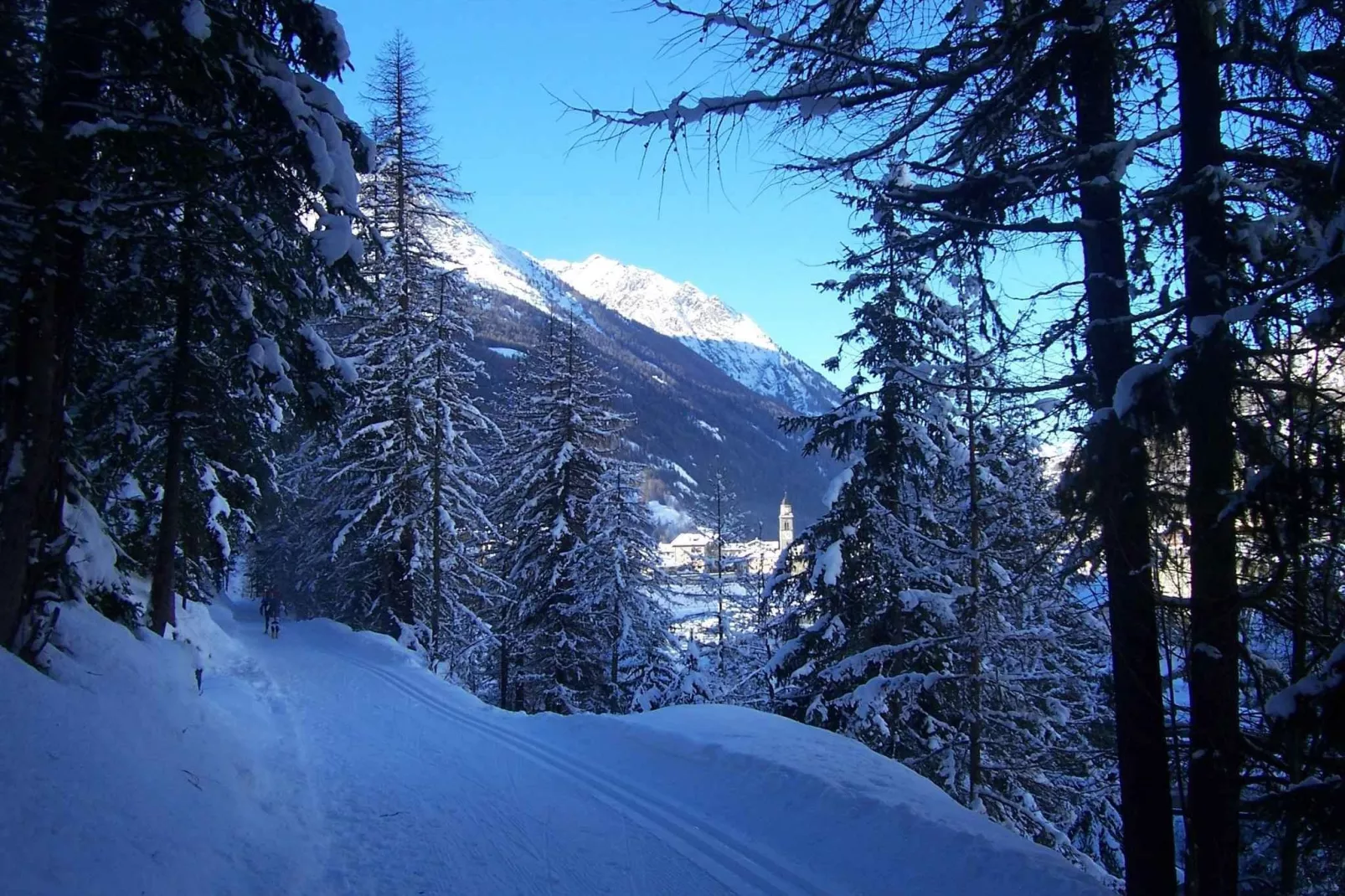 Résidence Les Belles Roches 3-Area winter 20km
