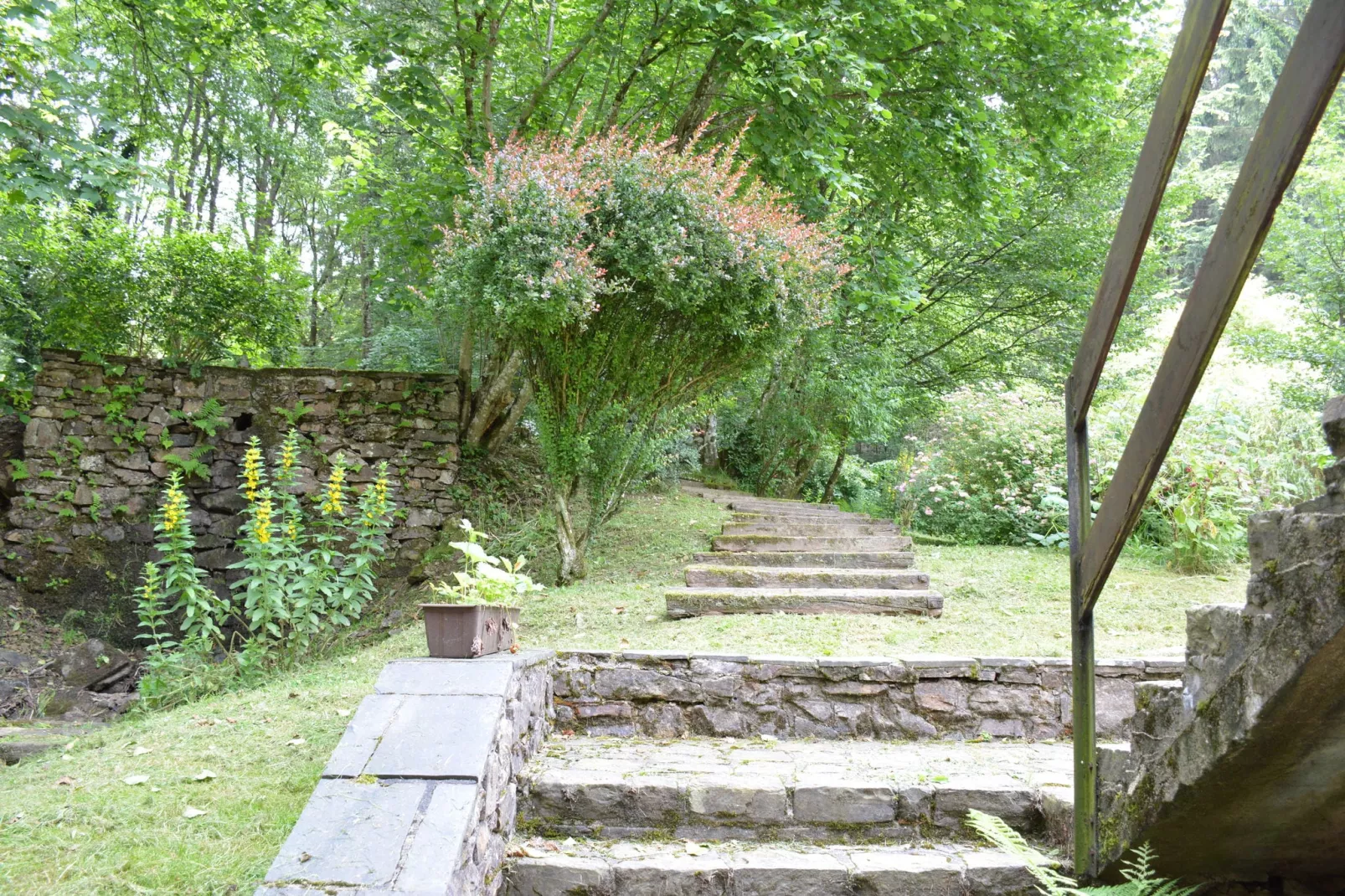 Le Moulin Sylvestre-Gardens summer