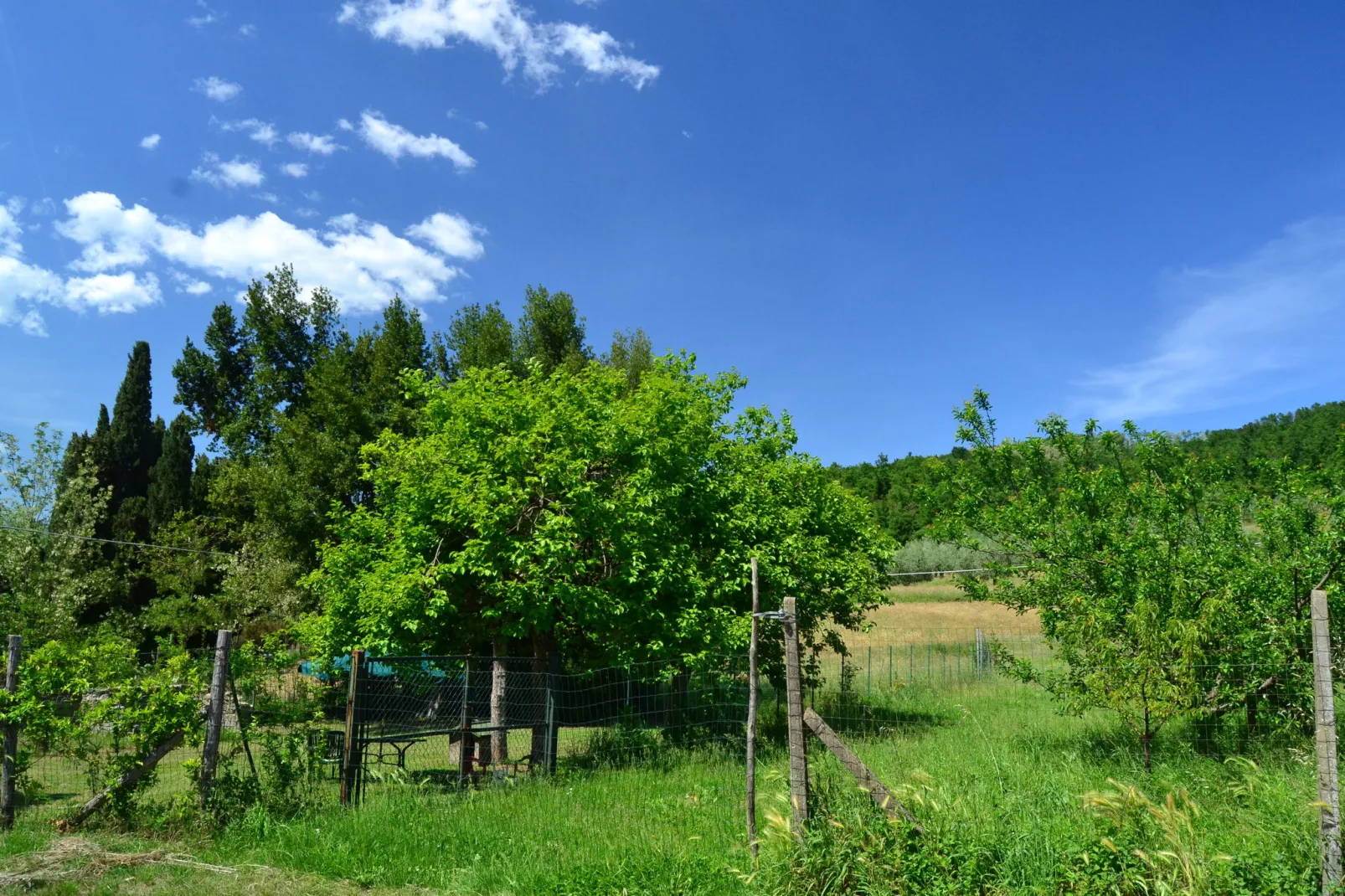 Villa il Brio x 6-Areas summer 20km