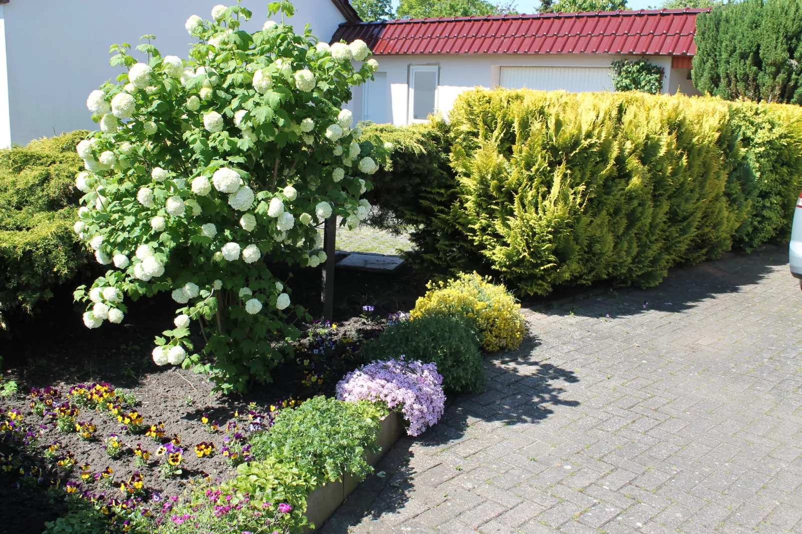 Sonnenhof / Nr 4-View summer