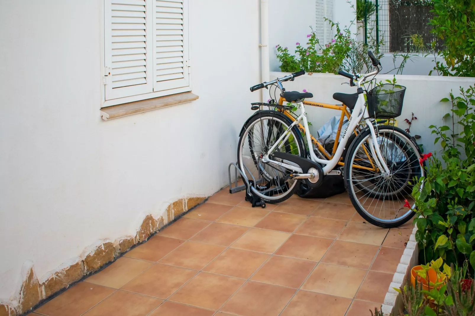 Apartamento  las marinas-Facilities