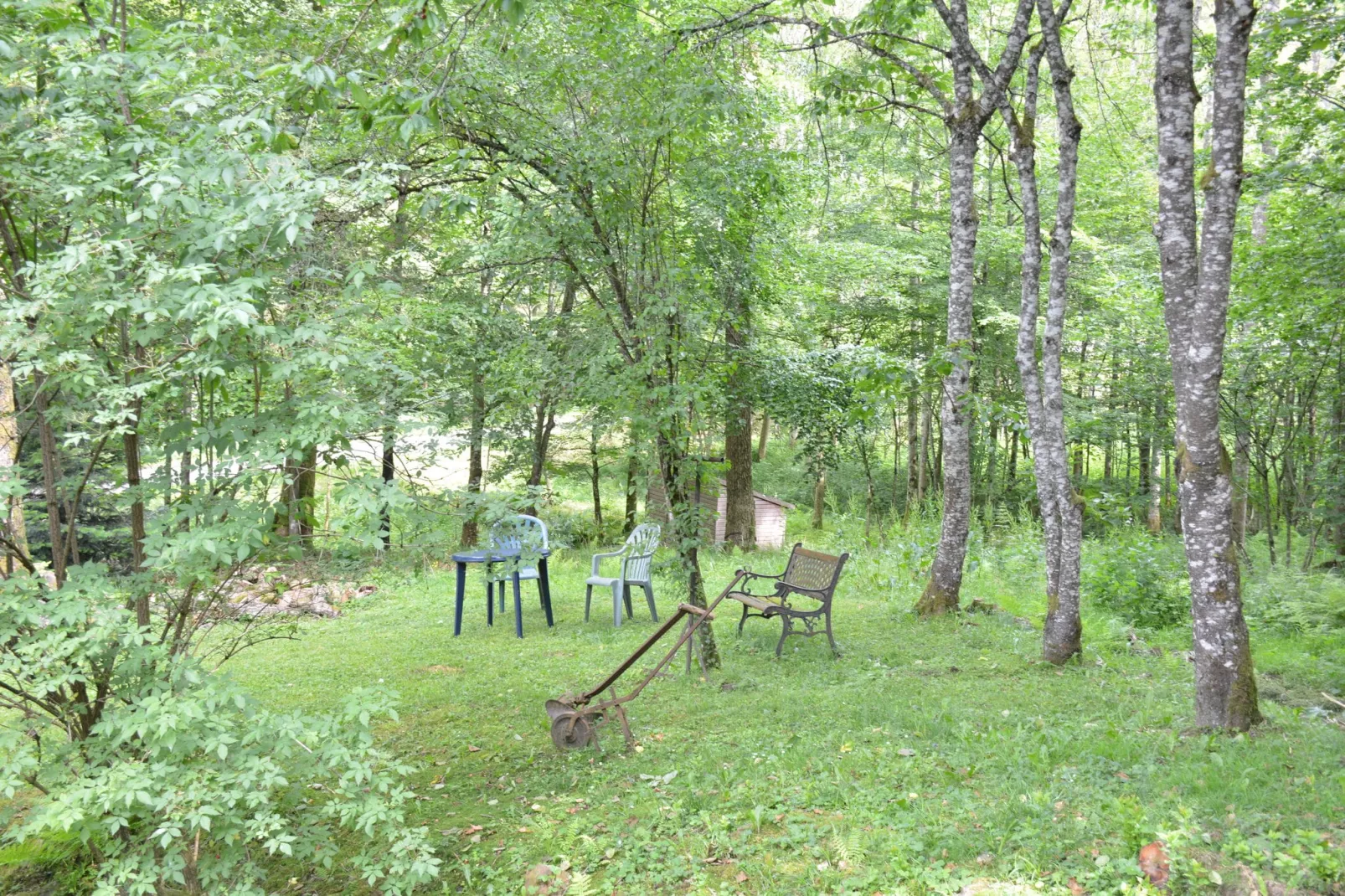 Le Moulin Sylvestre-Gardens summer