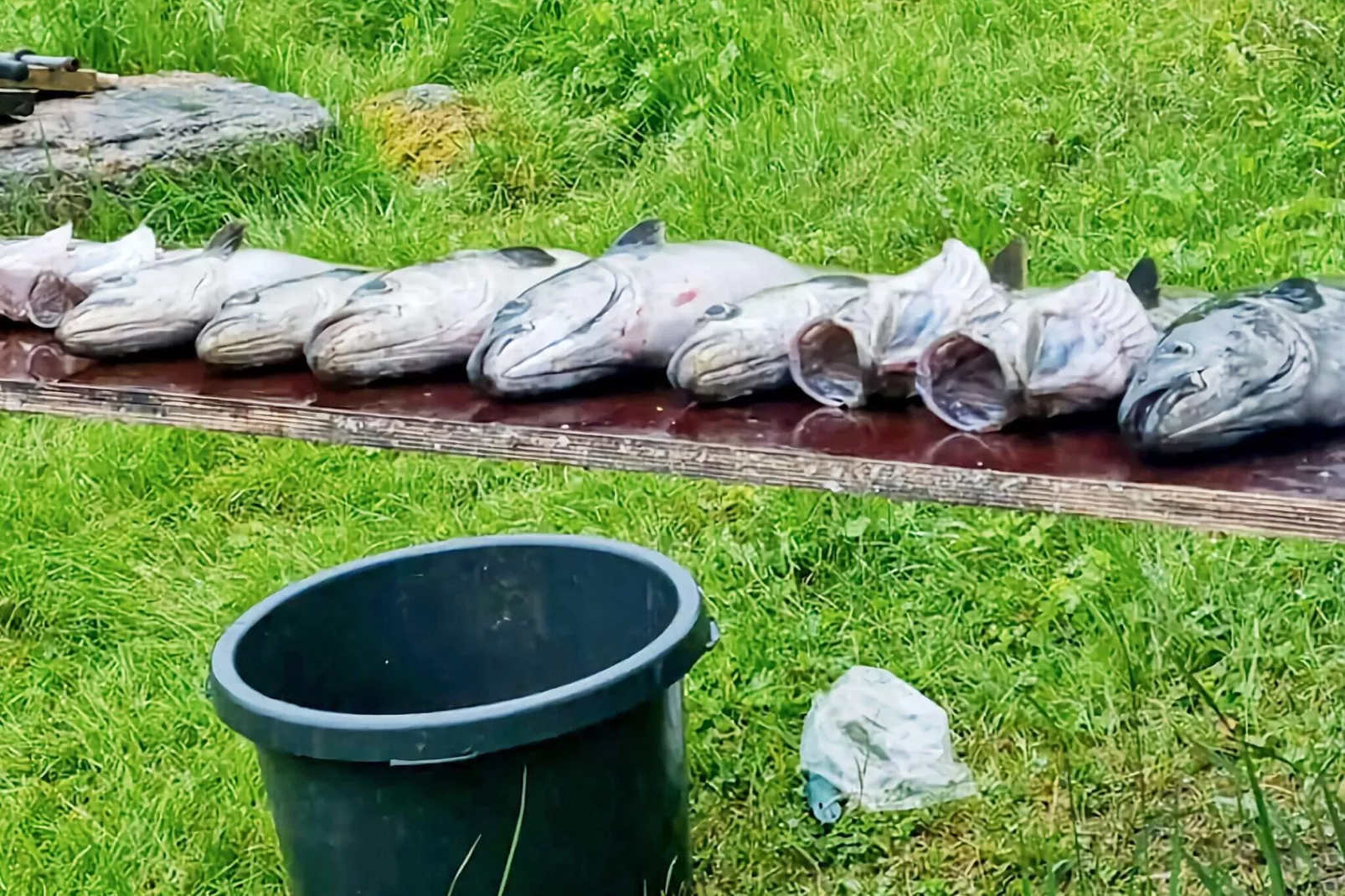 9 person holiday home in KORTGARDEN-Not tagged