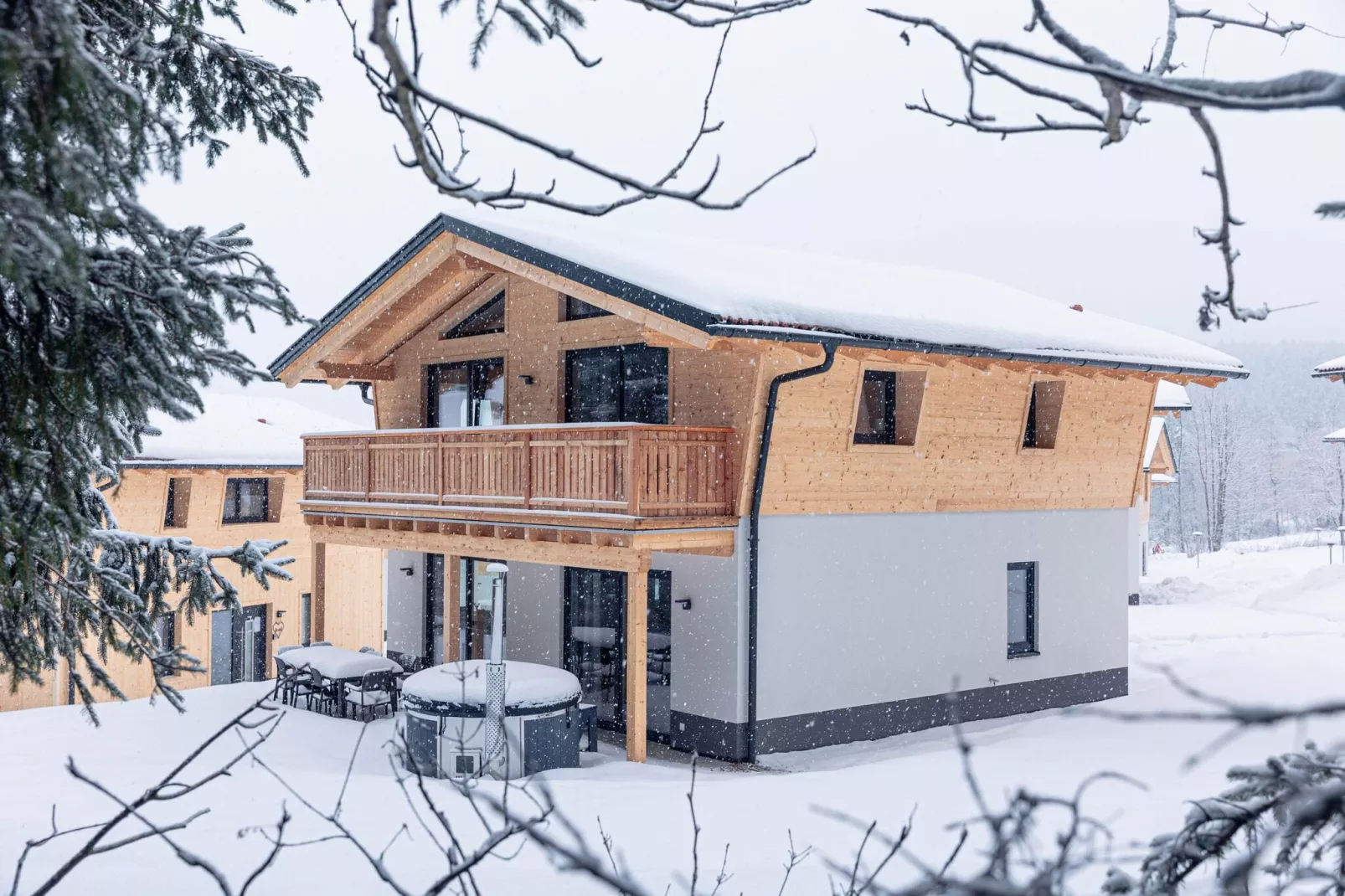 Chalet Klassik-Außenbereich Winter