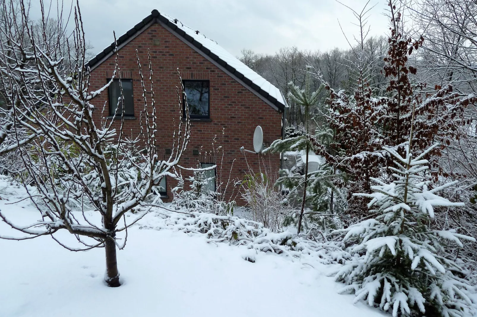 L'Orchidée-Exterior winter