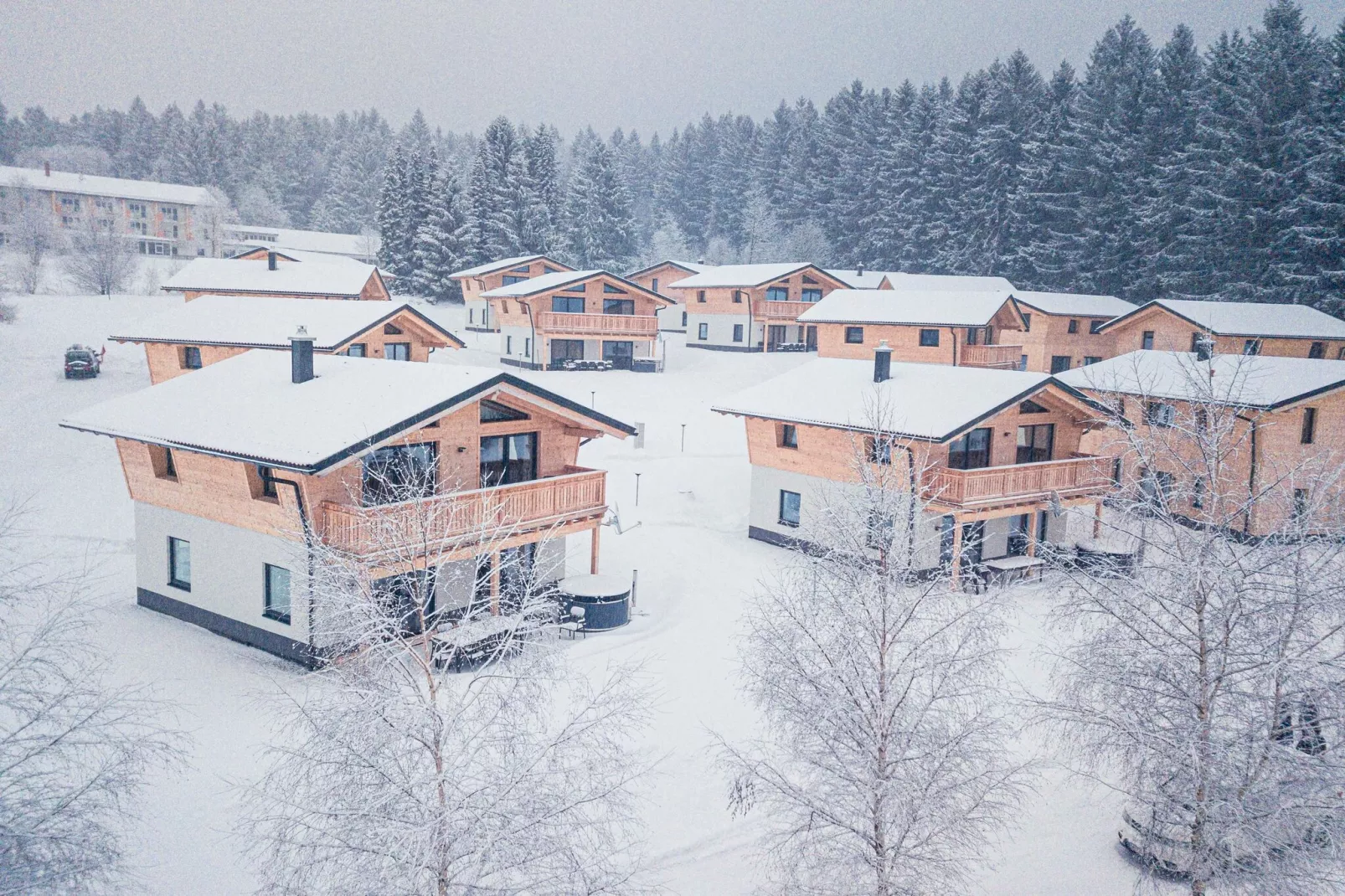 Chalet Klassik-Außenbereich Winter