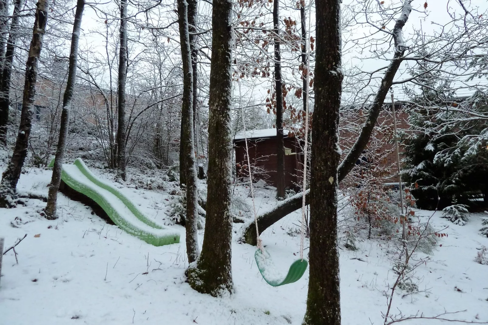 L'Orchidée-Garden winter