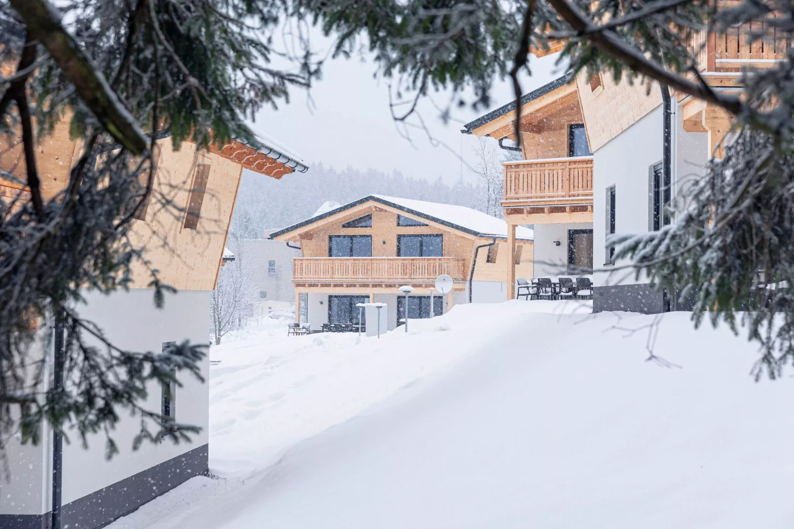Chalet Klassik-Außenbereich Winter