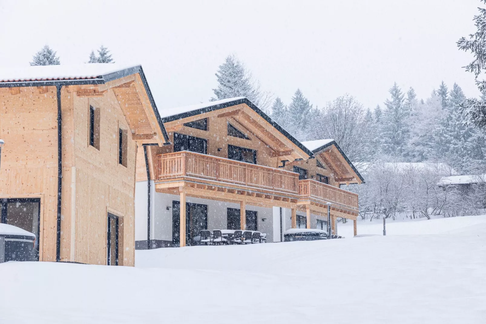 Chalet Klassik-Außenbereich Winter