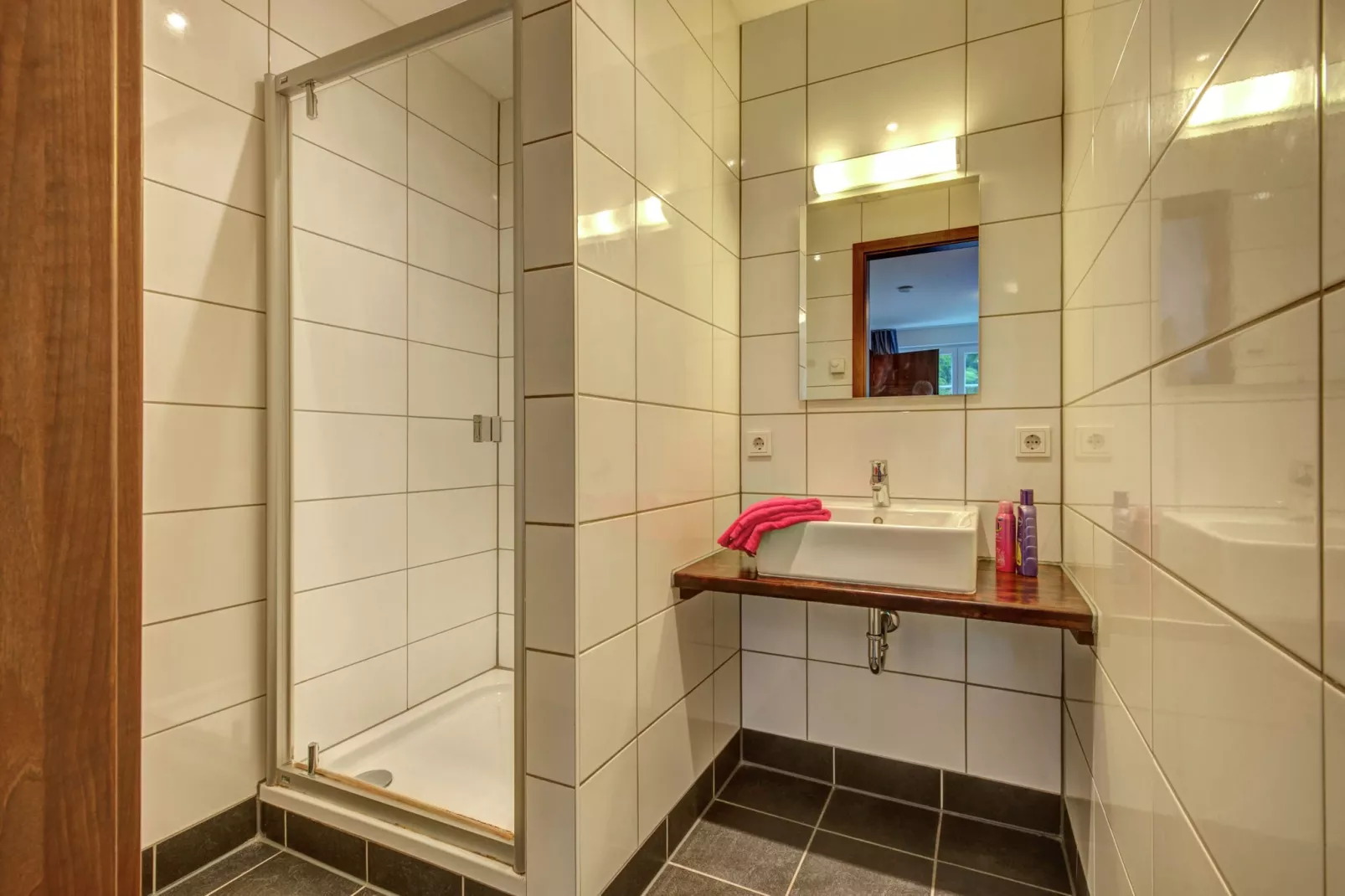 Eifelpark Kronenburger See 10-Bathroom