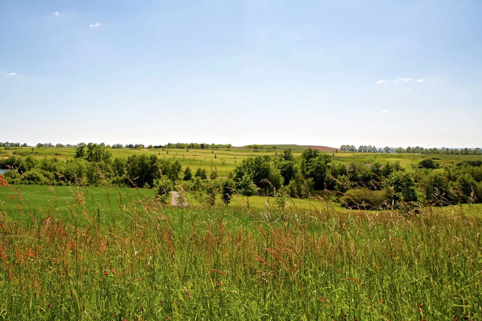 La Petite Tour-View summer