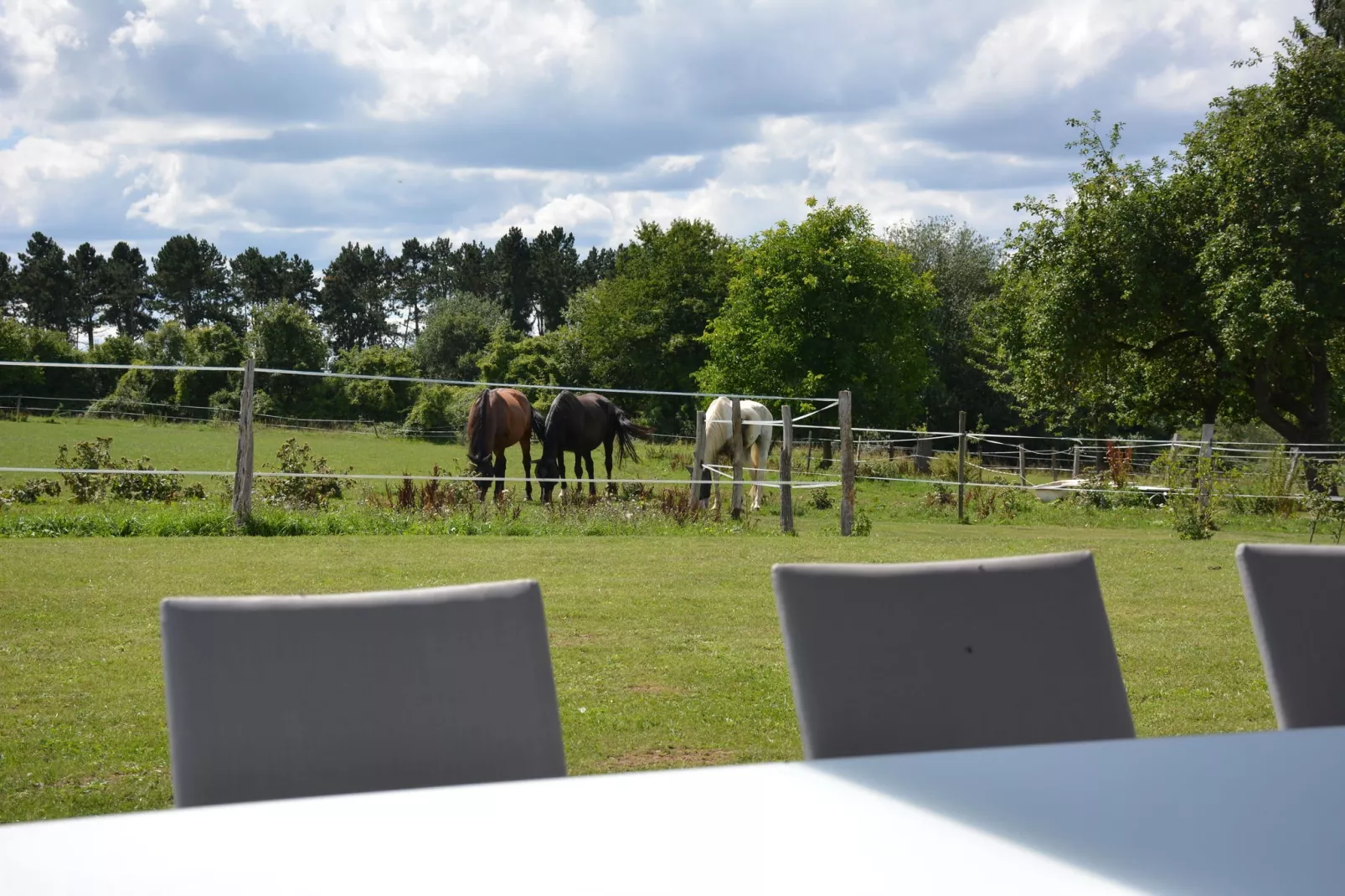 Sous le Charme d'Epona-View summer