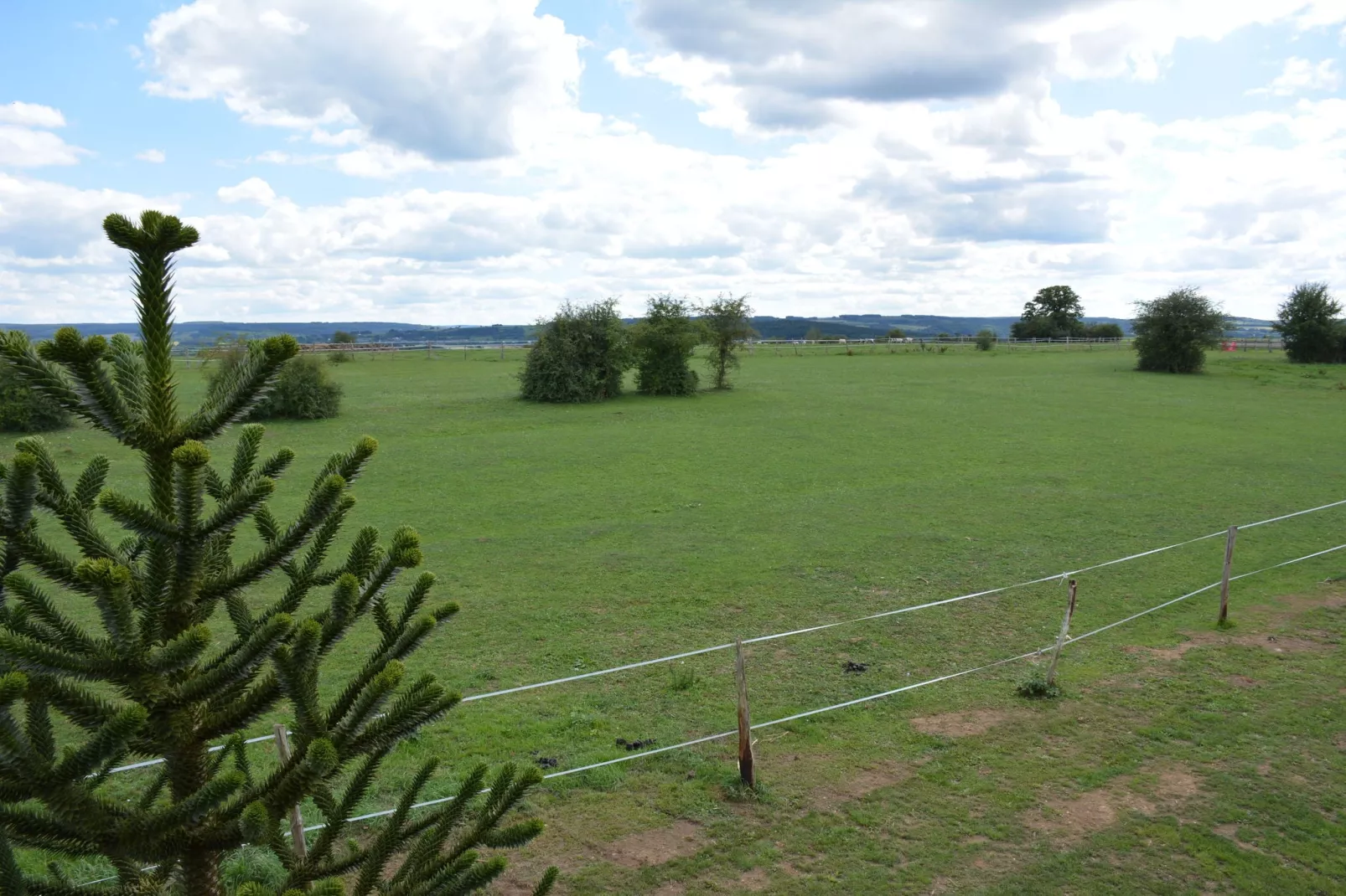 Sous le Charme d'Epona-View summer