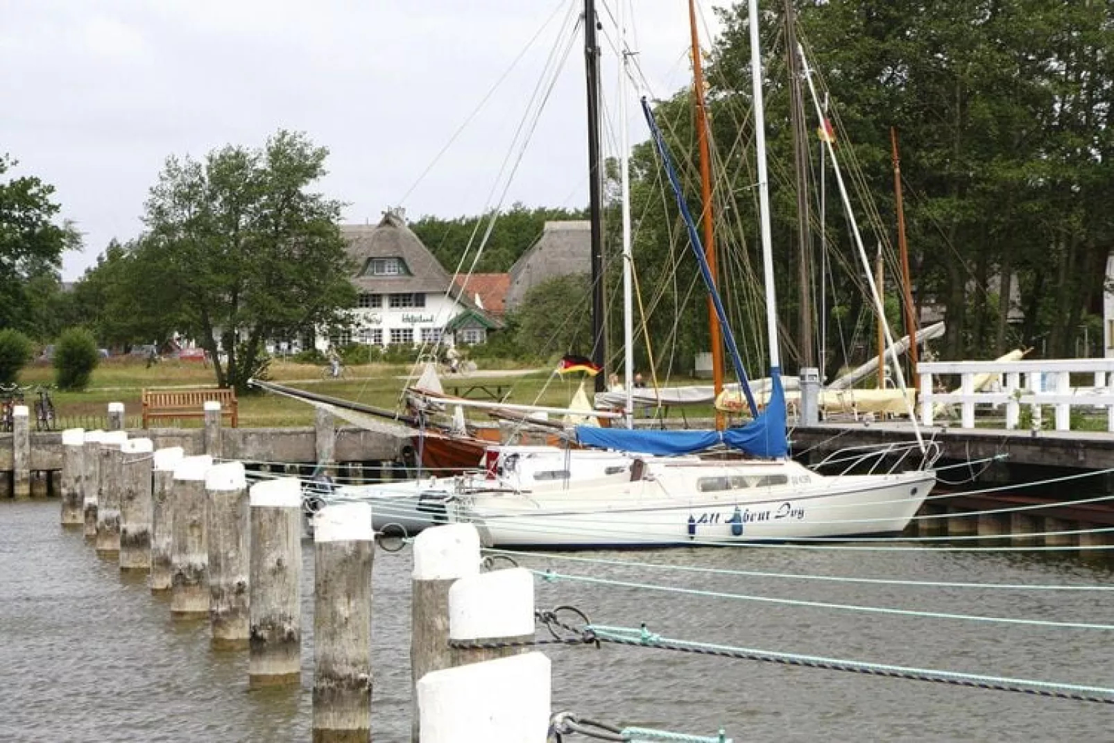 Ferienwohnung Wieck am Darß-Ferienwohnung Drews-Gebiete Sommer 5 km
