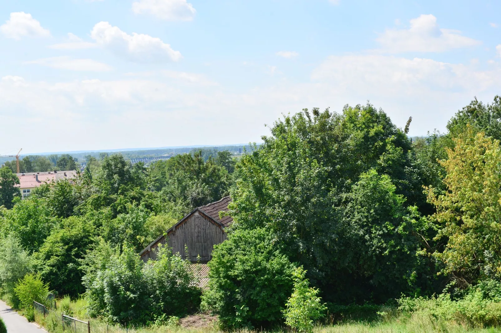 Sonnenhügel-Aussicht Sommer