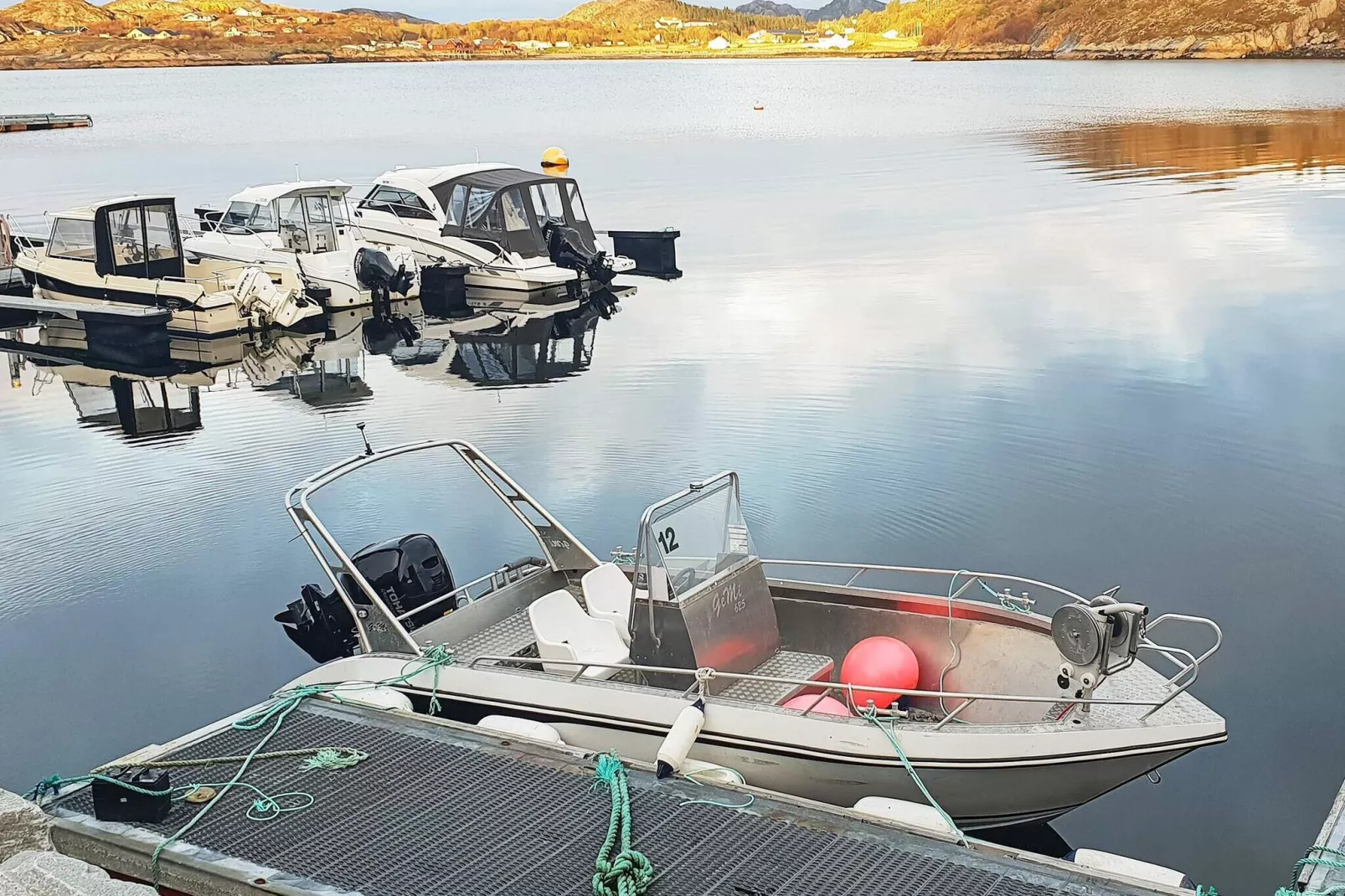 40680 - HAVGLØTT-Not tagged