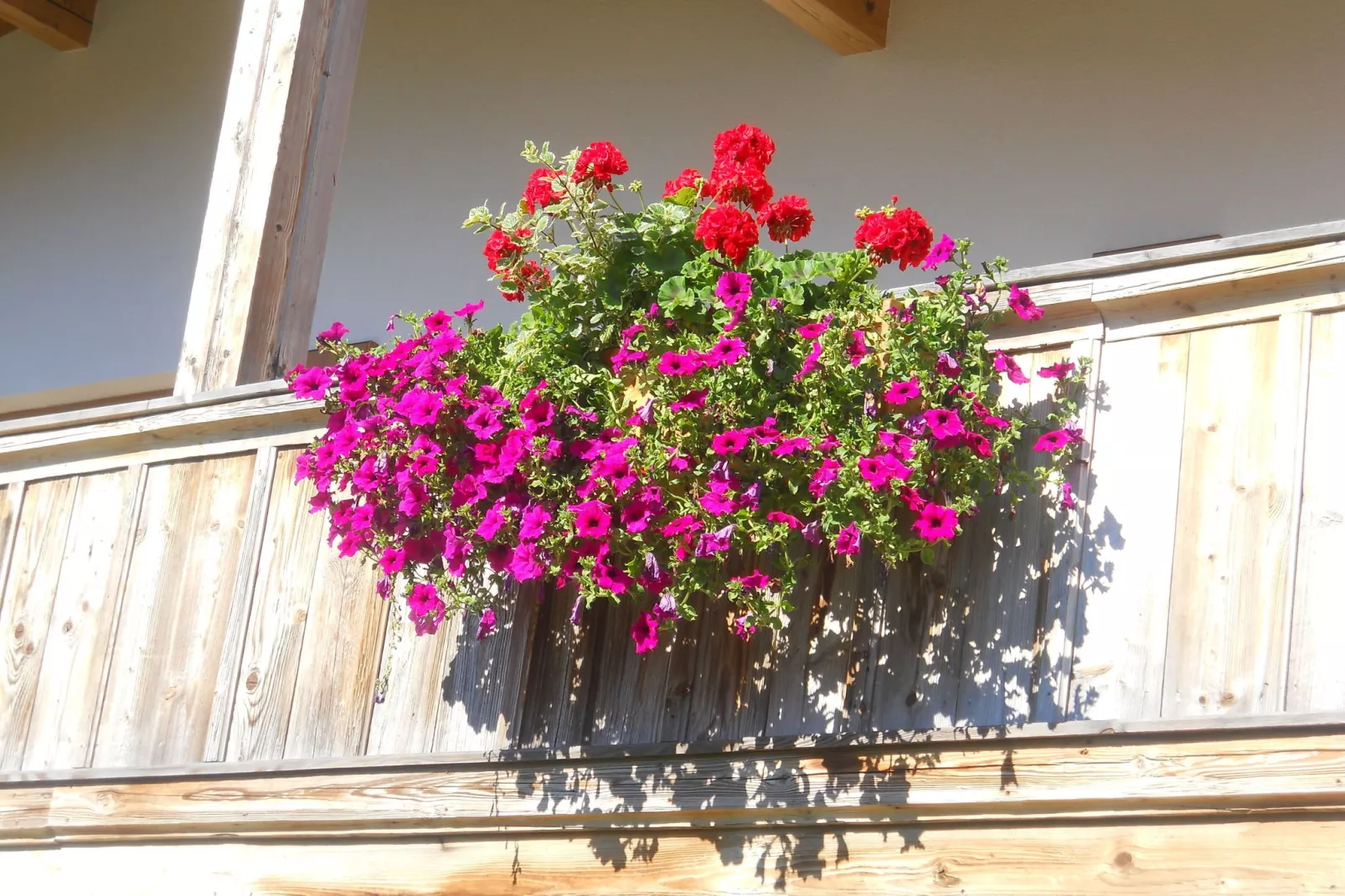 Chalet Niederndorferberg 1-Gardens summer