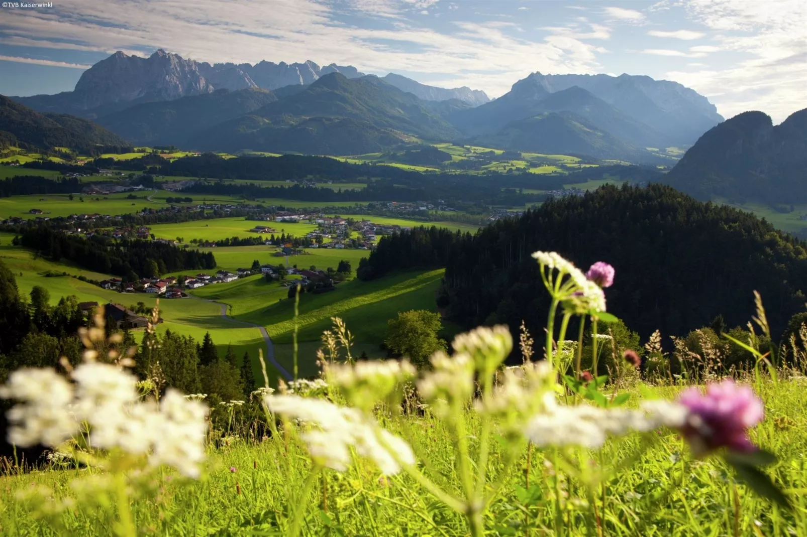 Chalet Niederndorferberg 1-Areas summer 5km