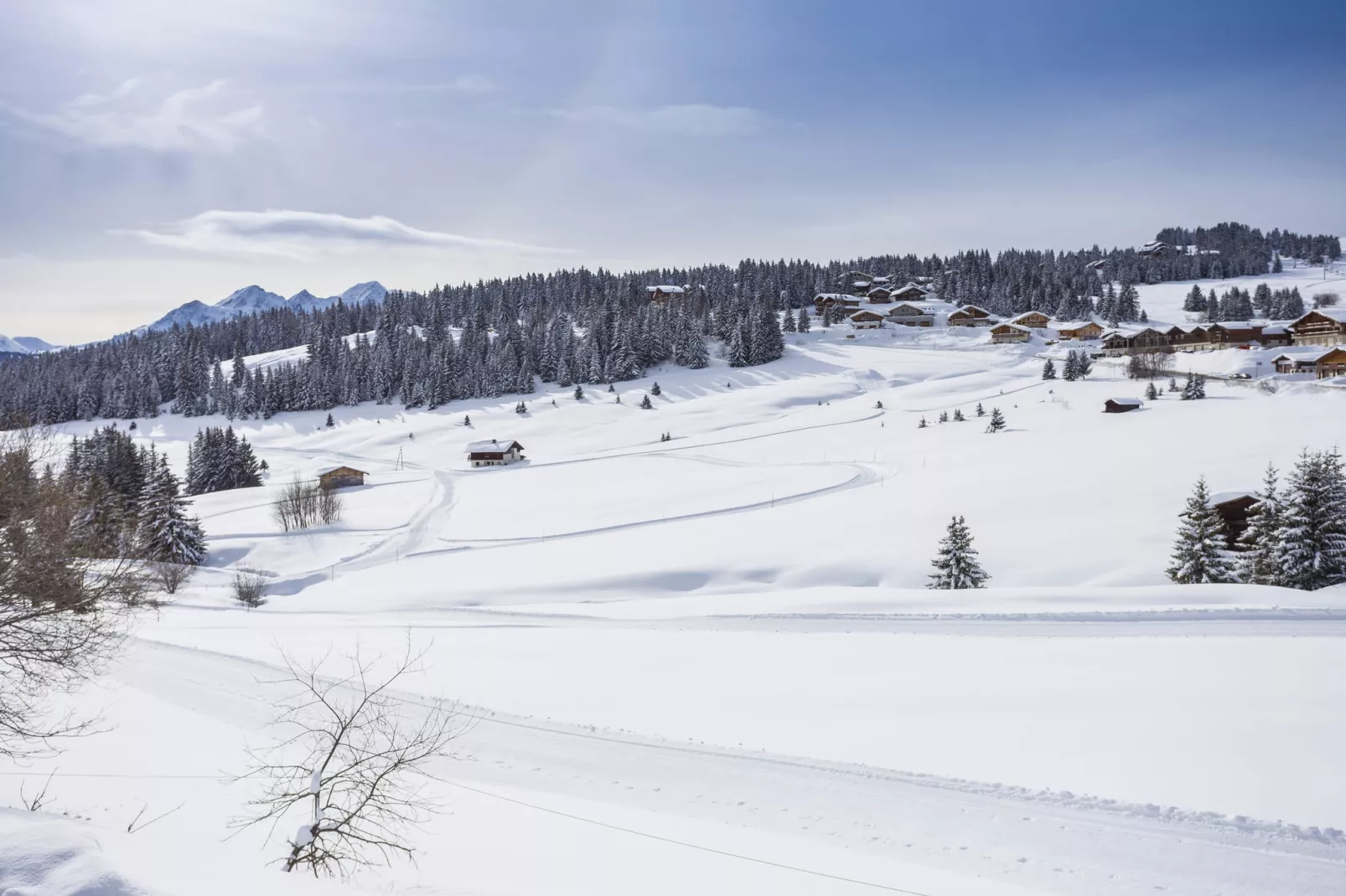 Résidence Les Chalets des Cimes-Area winter 5km