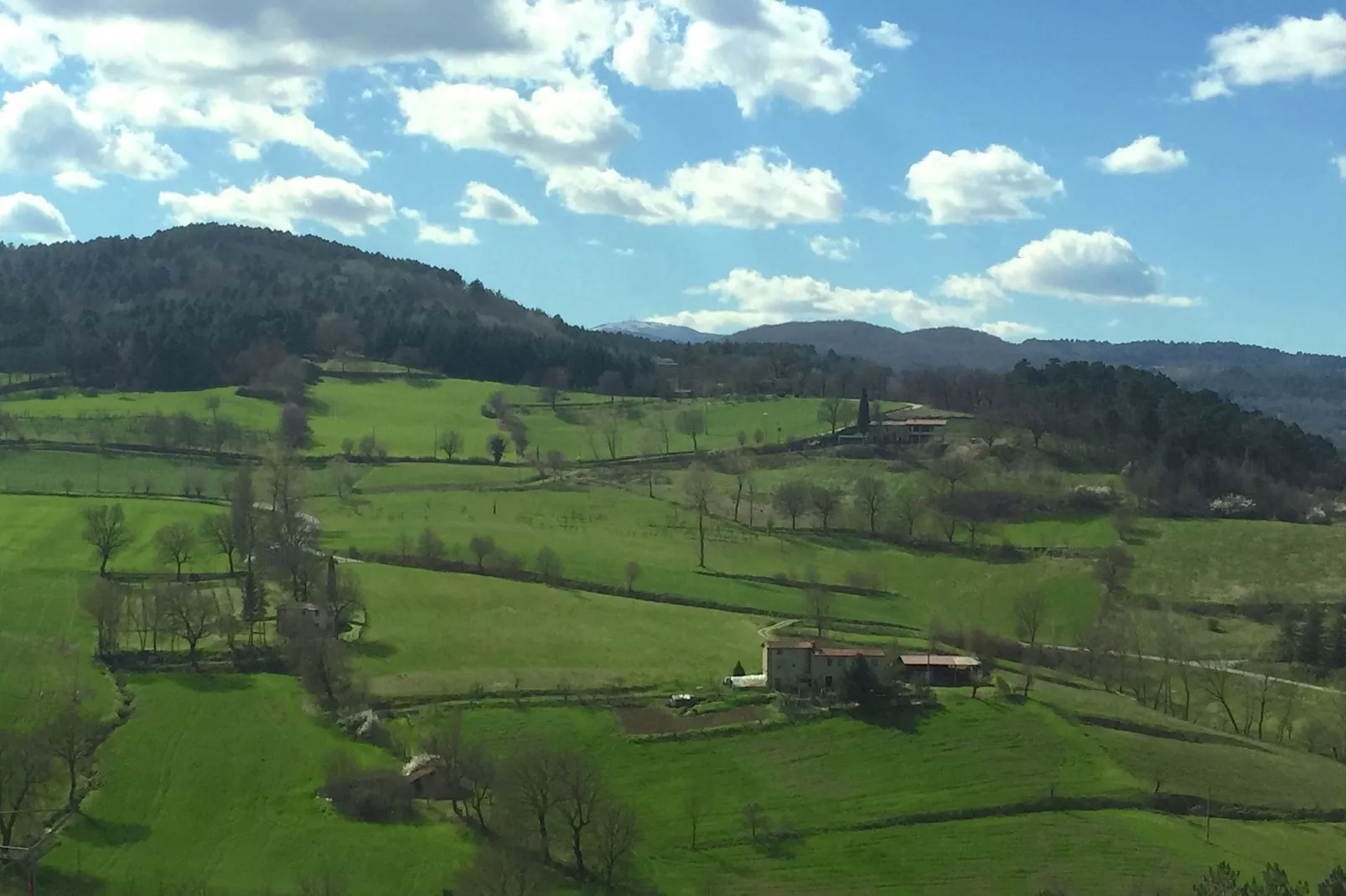 La Quercia-Areas summer 1km