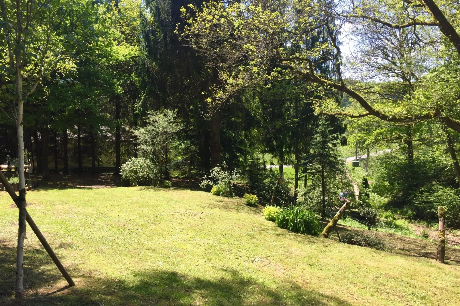 Remschweiler-View summer