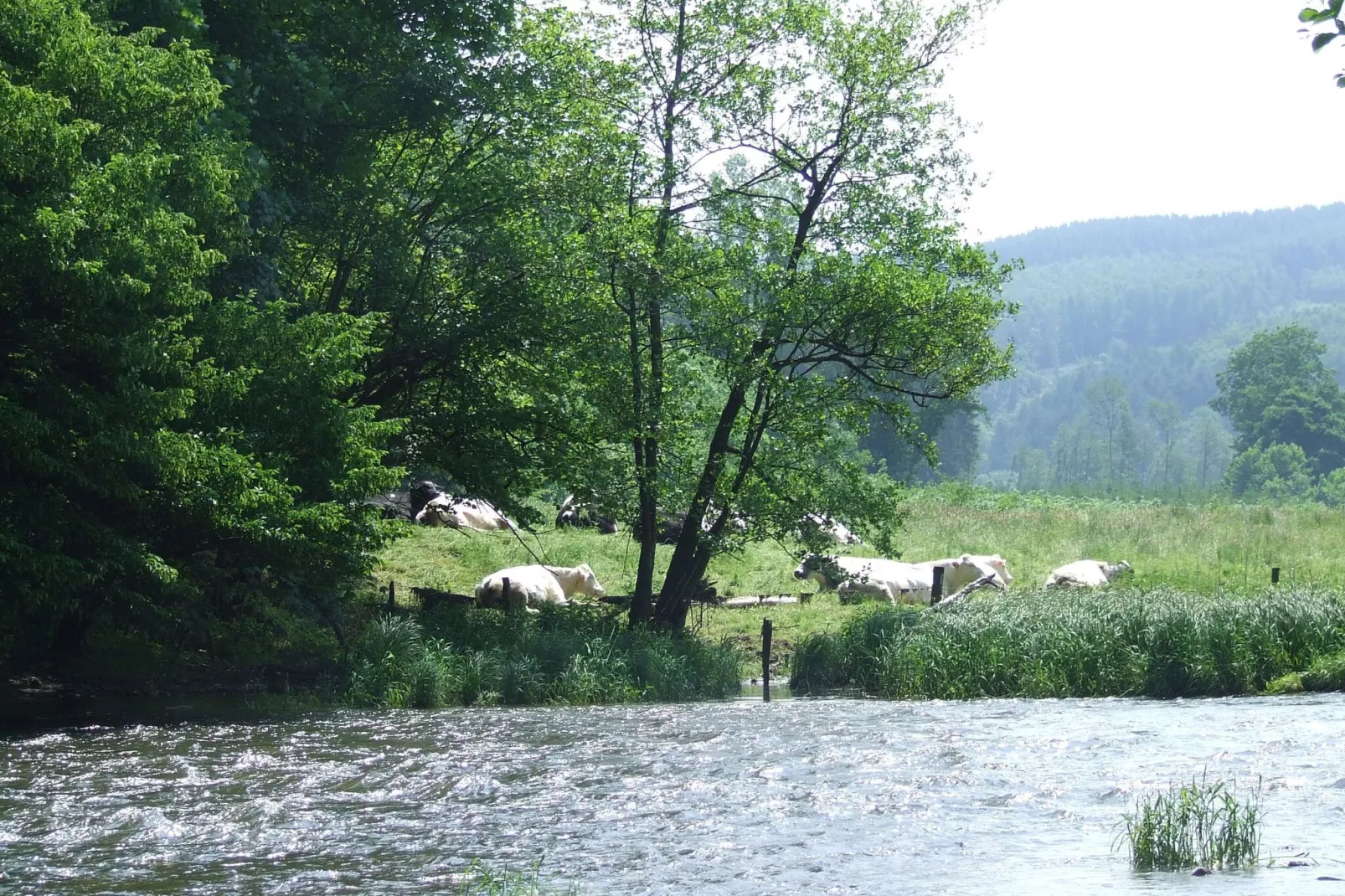 Balcon Petite Suisse-Areas summer 1km
