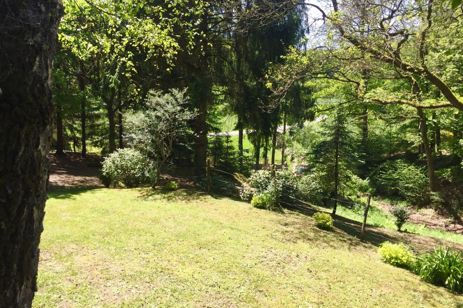 Remschweiler-Gardens summer