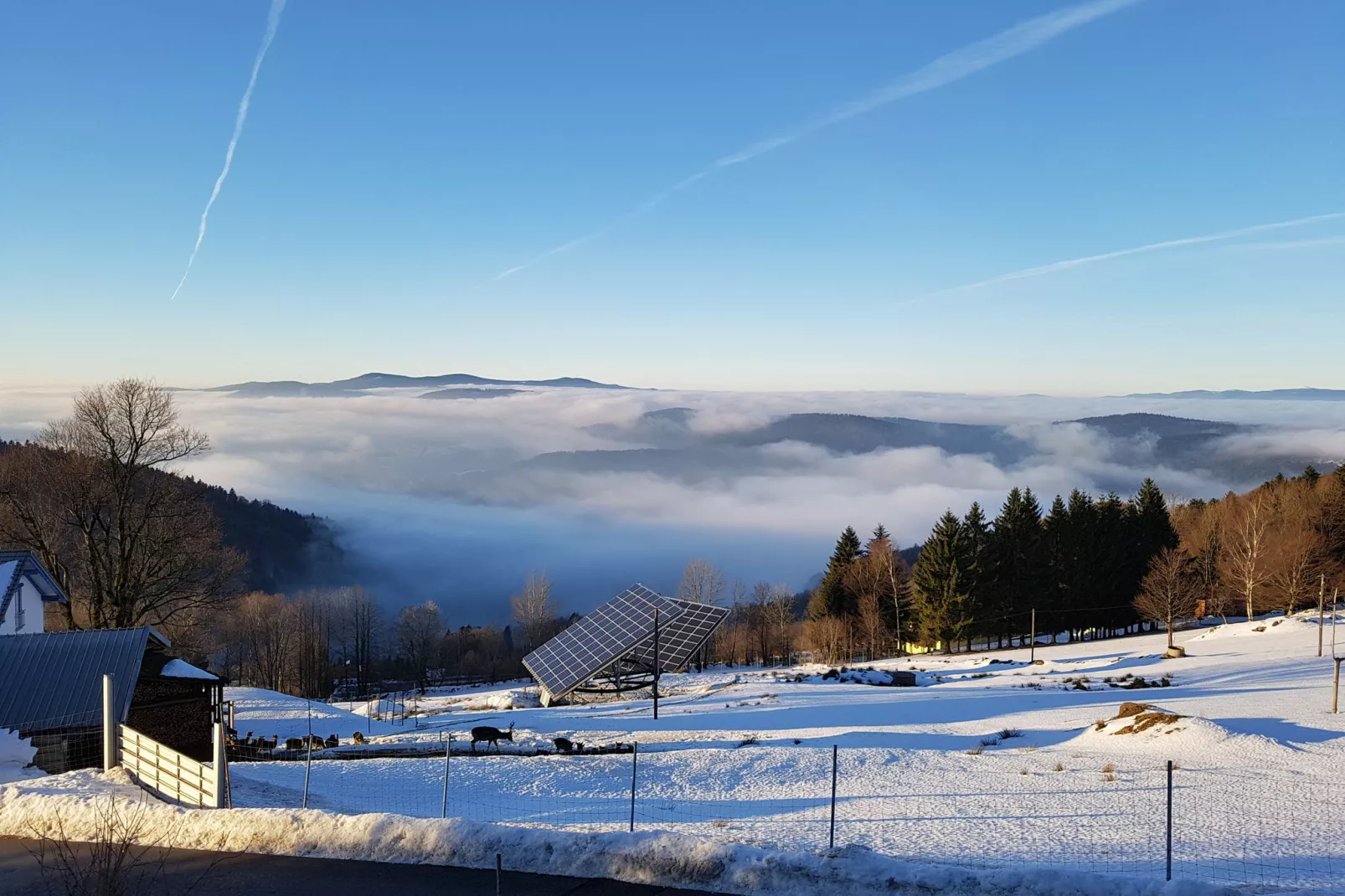 Talblick-View in winter