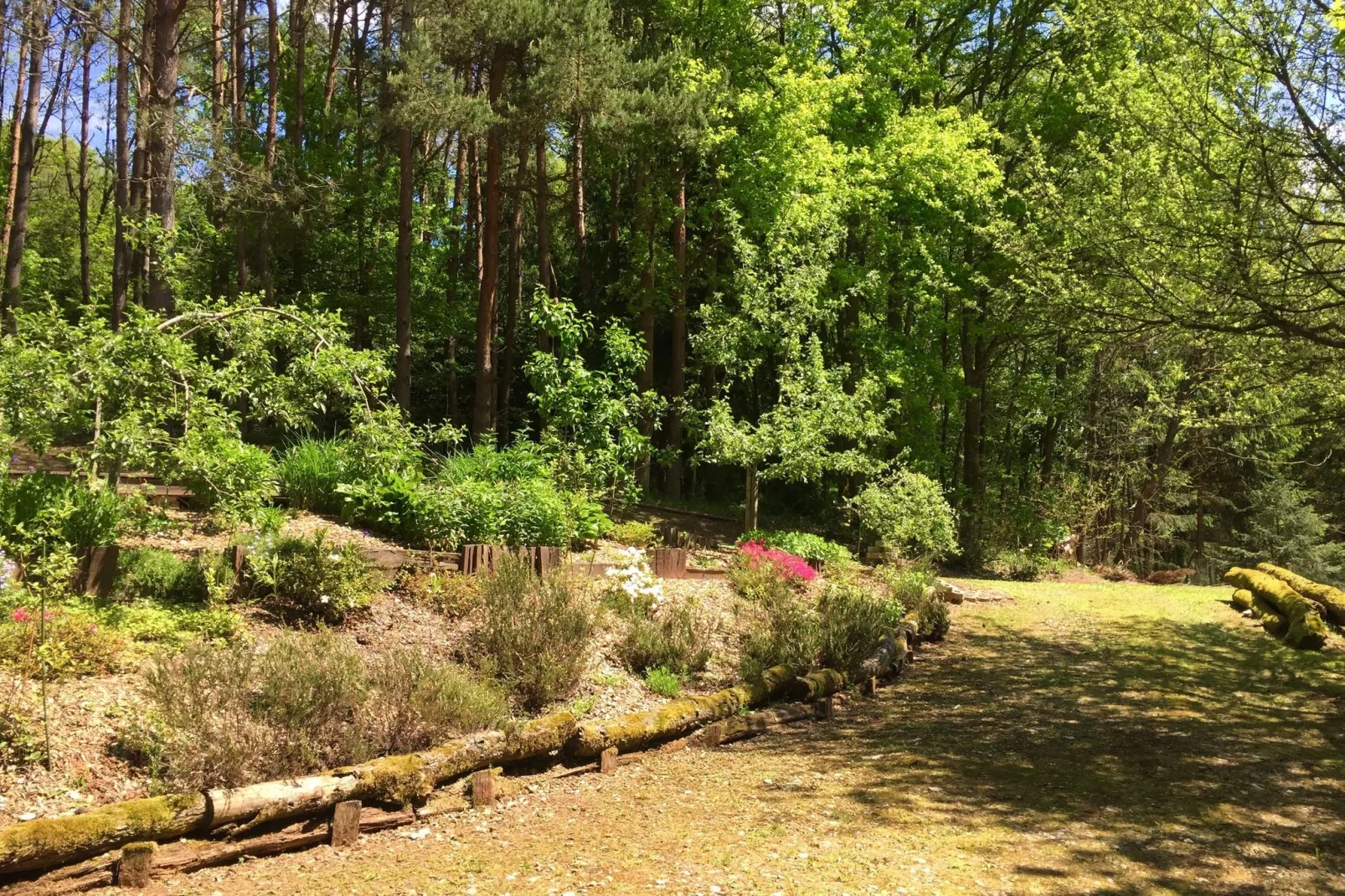 Remschweiler-Gardens summer