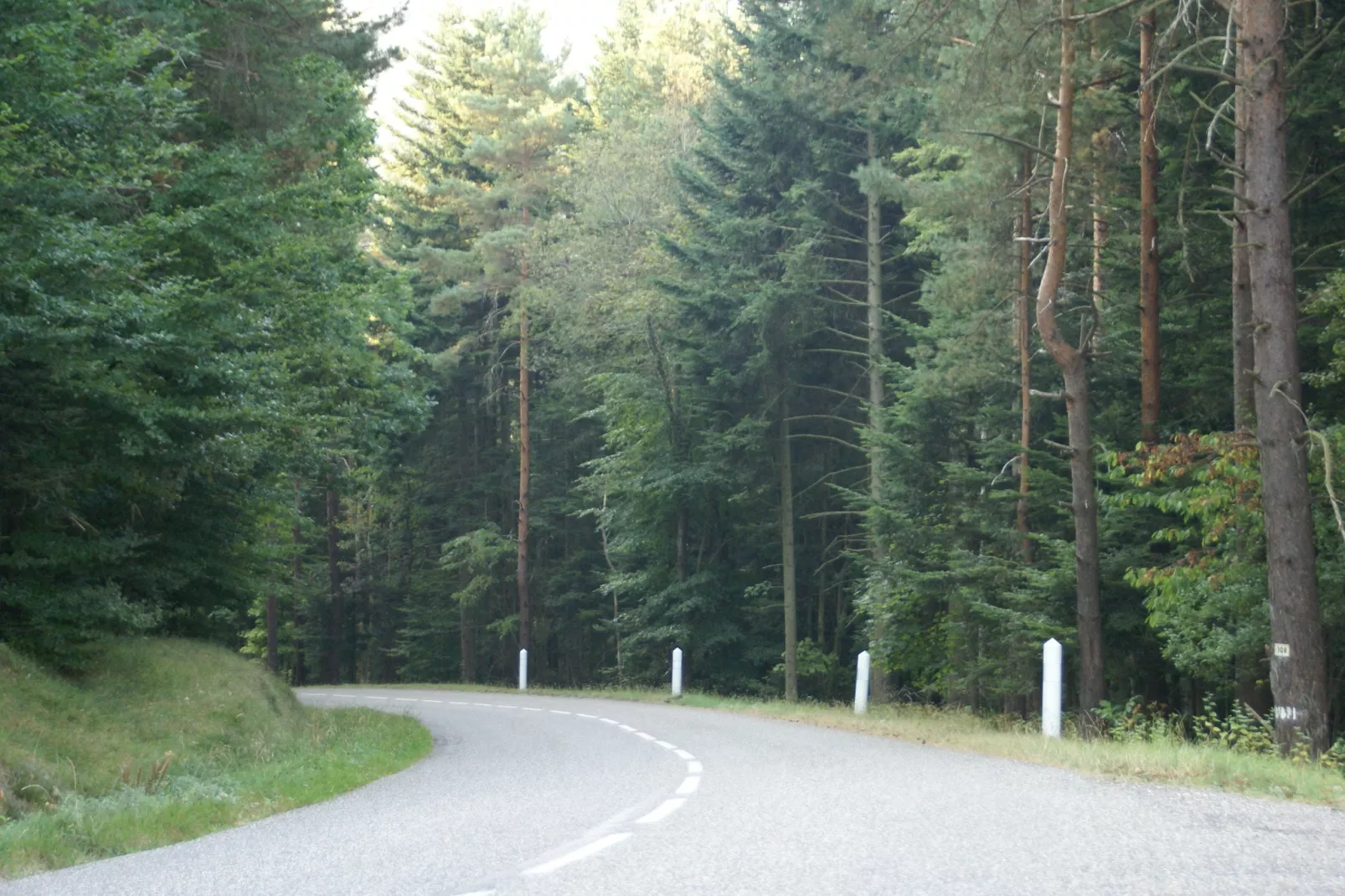 Remschweiler-Areas summer 1km