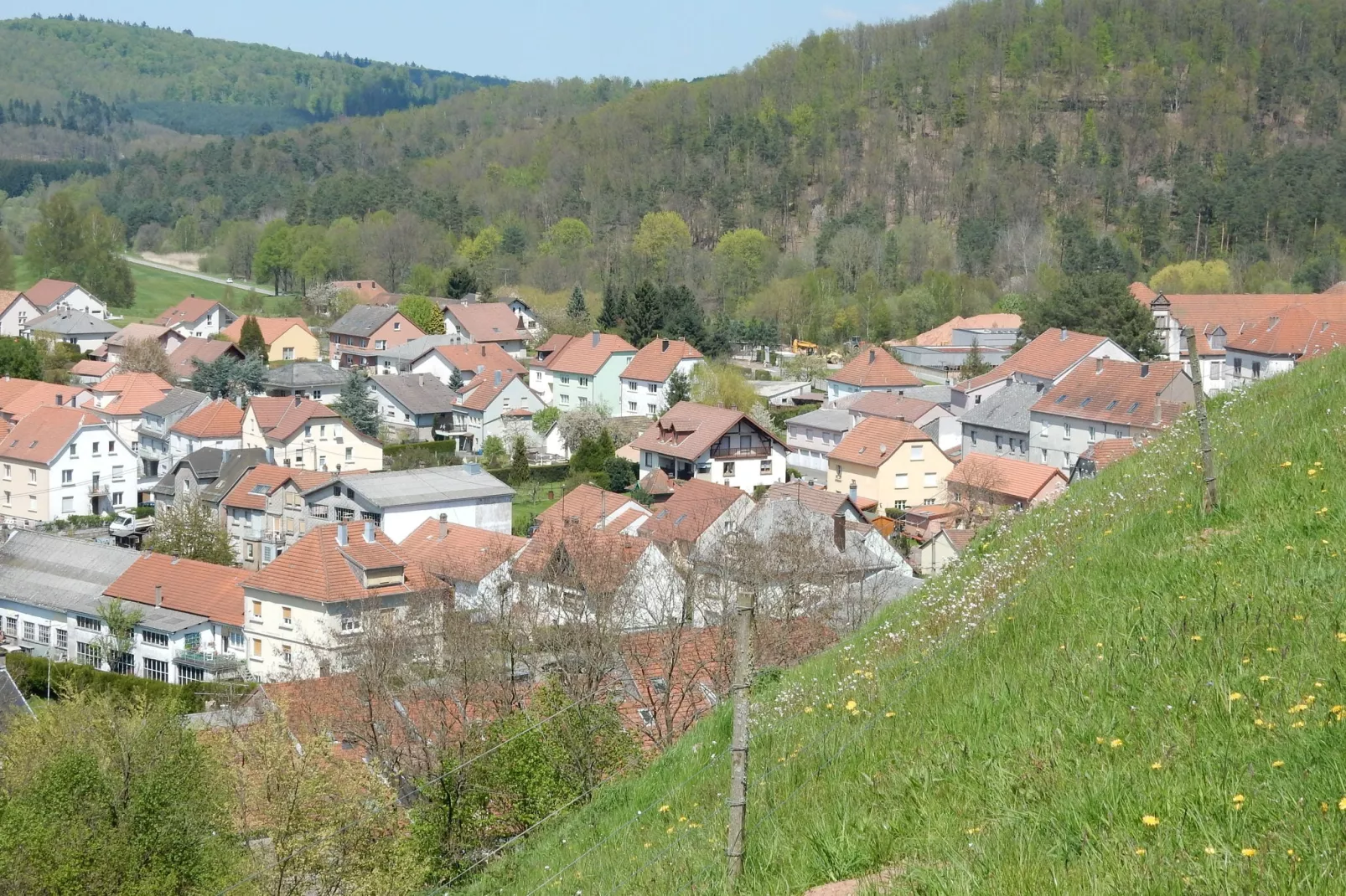 Remschweiler-Areas summer 5km
