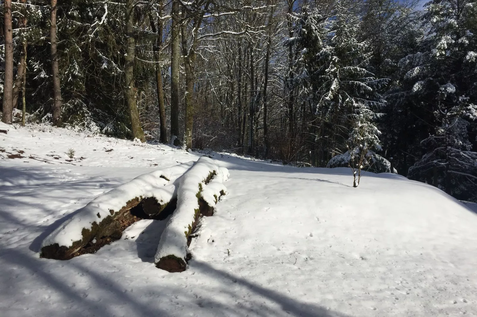 Remschweiler-Area winter 20km