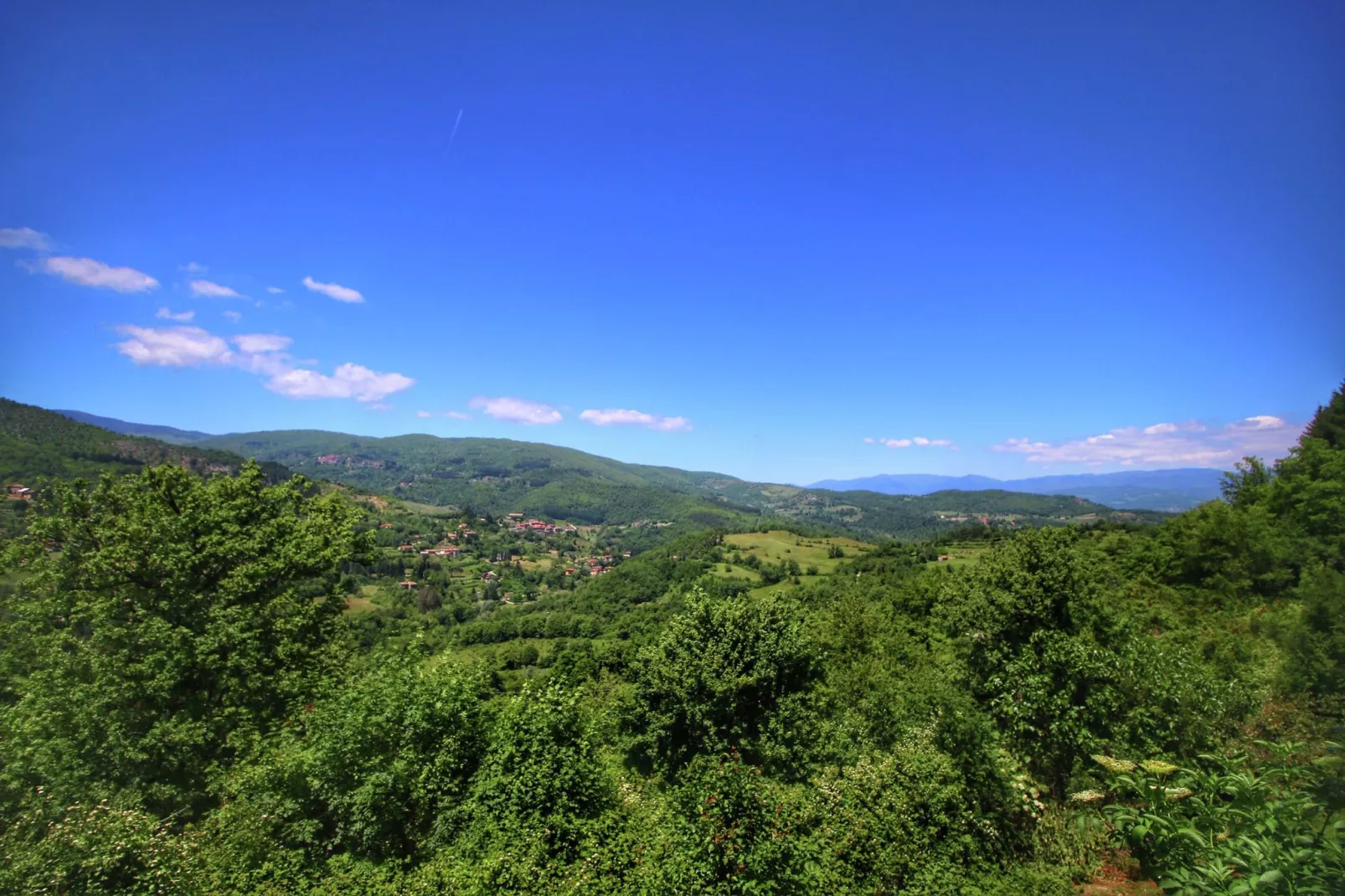 Nonno Raoul-Areas summer 1km