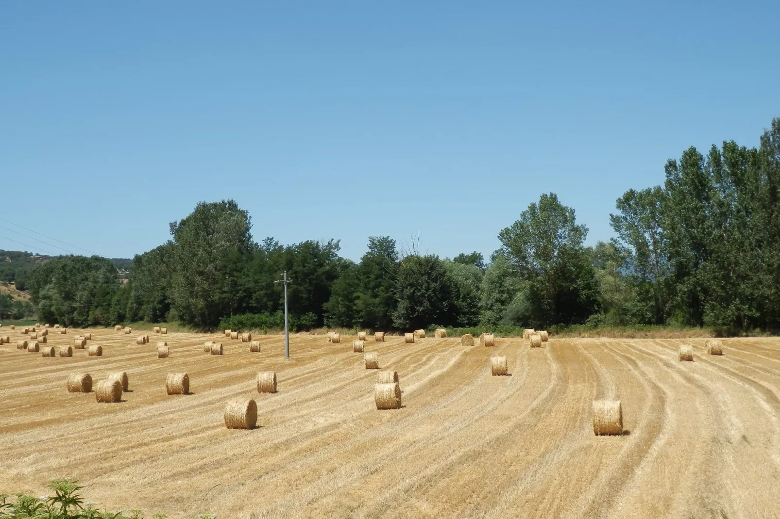 Nonno Raoul-Areas summer 5km