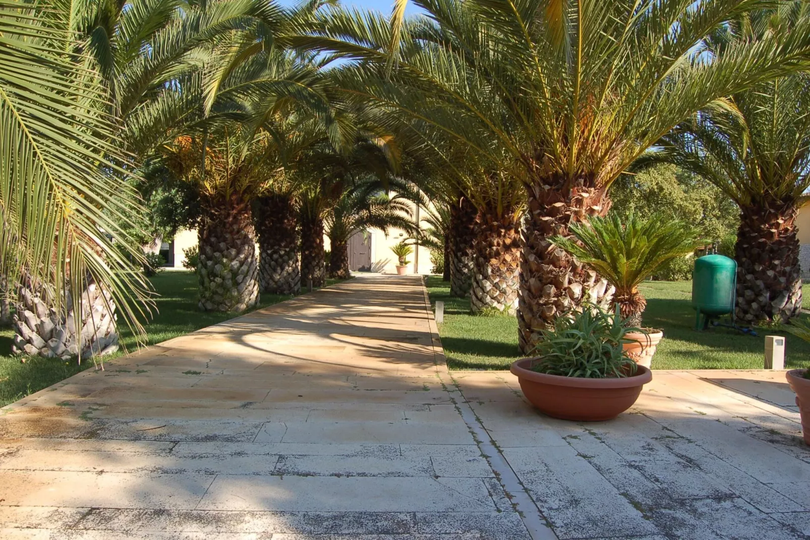 Tenuta San Francesco 3-Jardin d'été