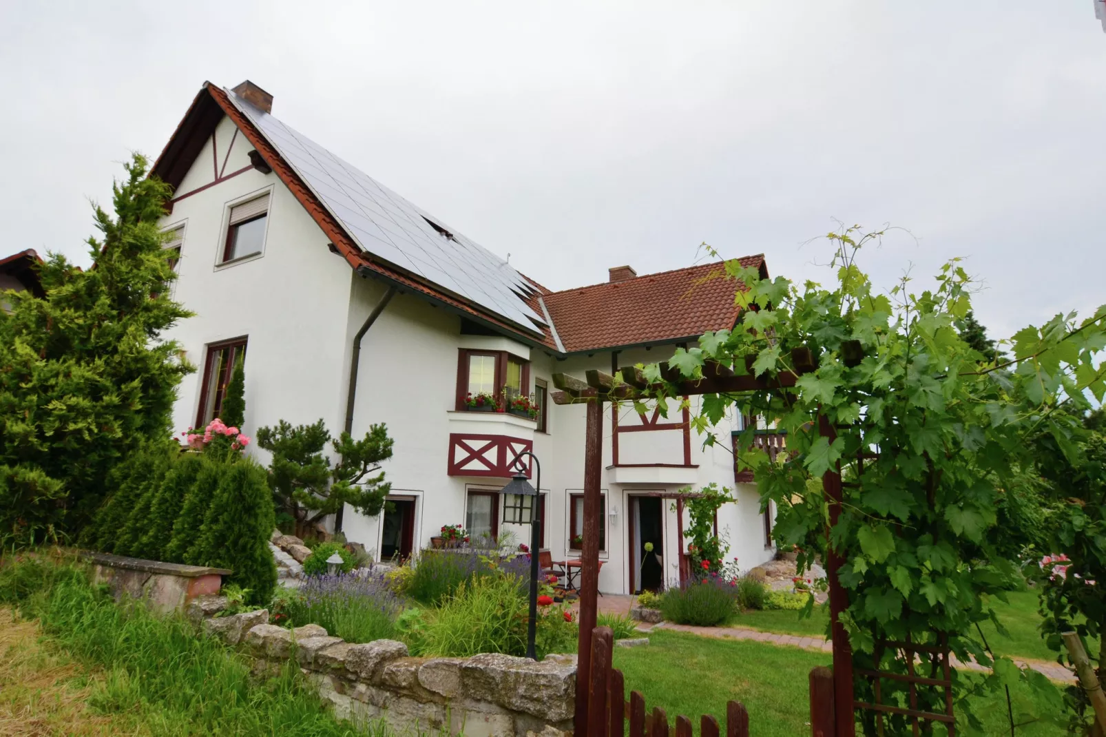 Wilder Wein-Exterior summer