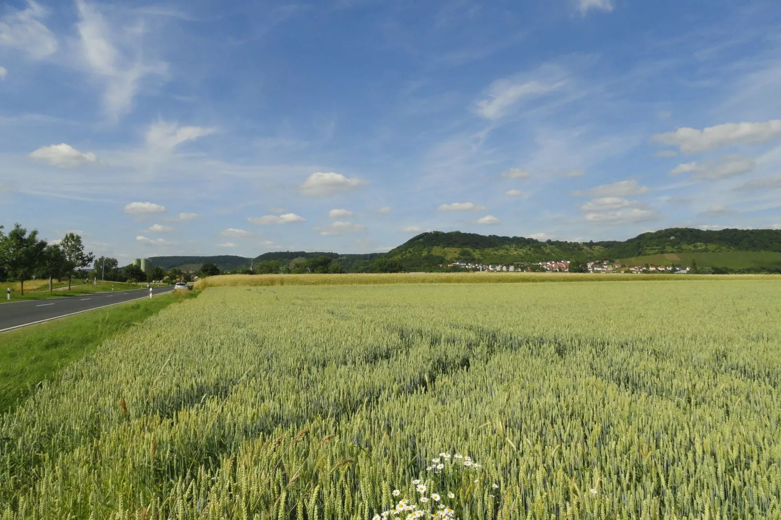 Wilder Wein-Areas summer 1km