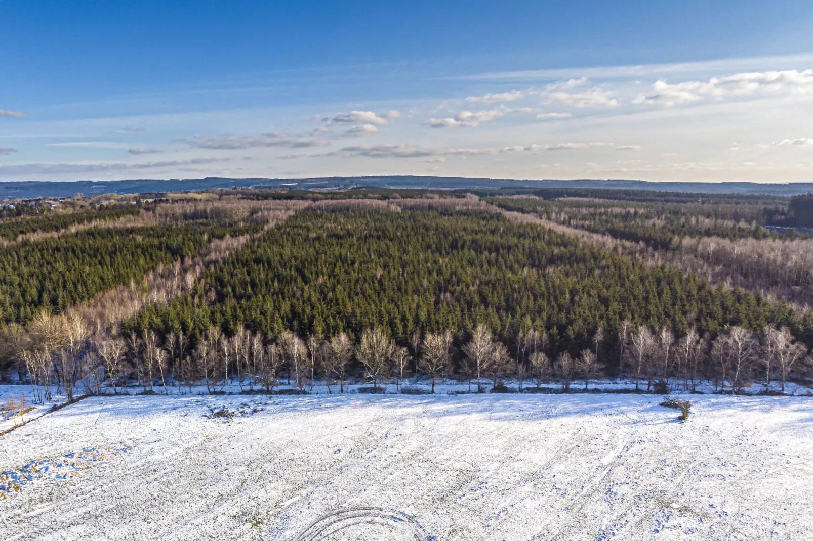 Ardennes Bleu - 10 pers maximum-Aussicht Winter